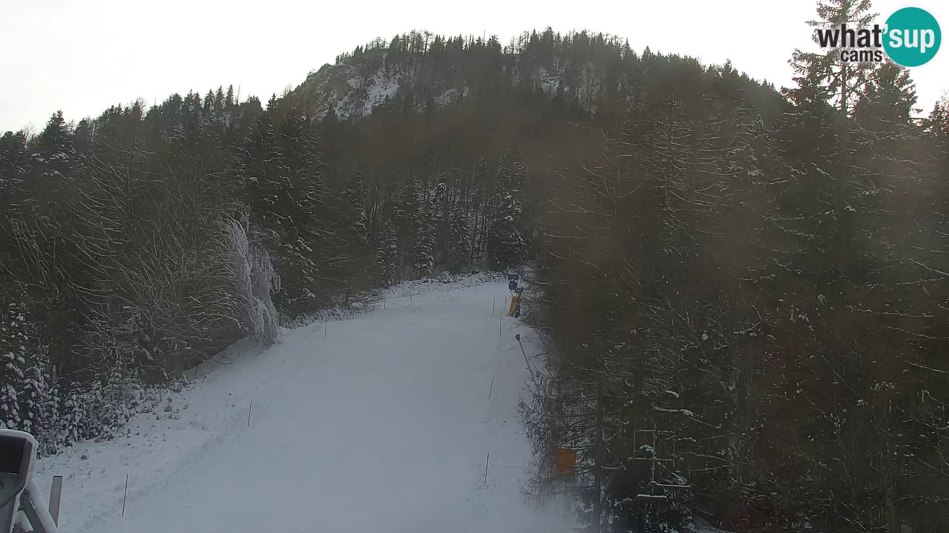 Kranjska Gora web kamera Vitranc | VITRANC 1 gornja postaja