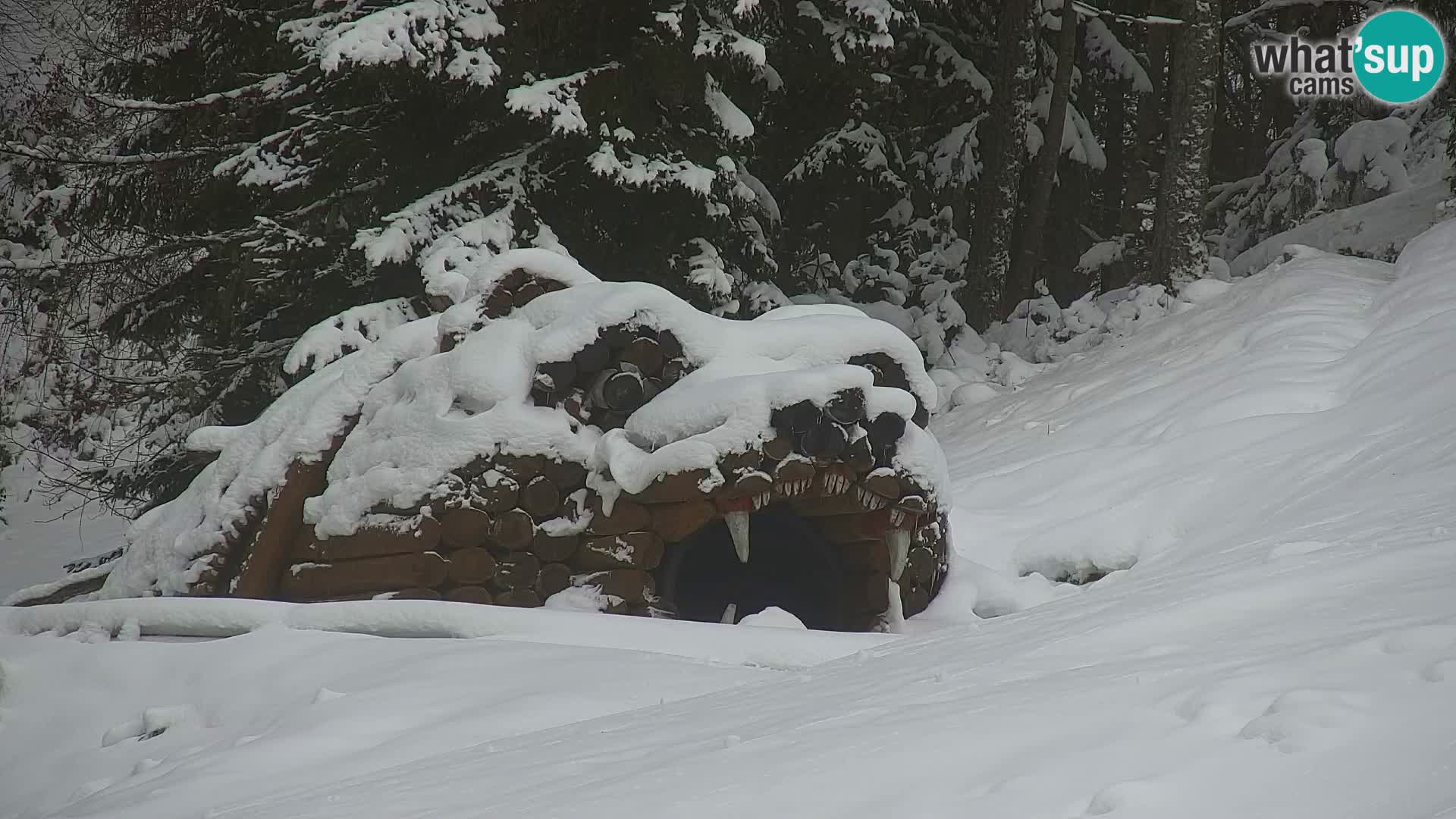 Vitranc Kranjska Gora webcam | VITRANC 1 stazione superiore