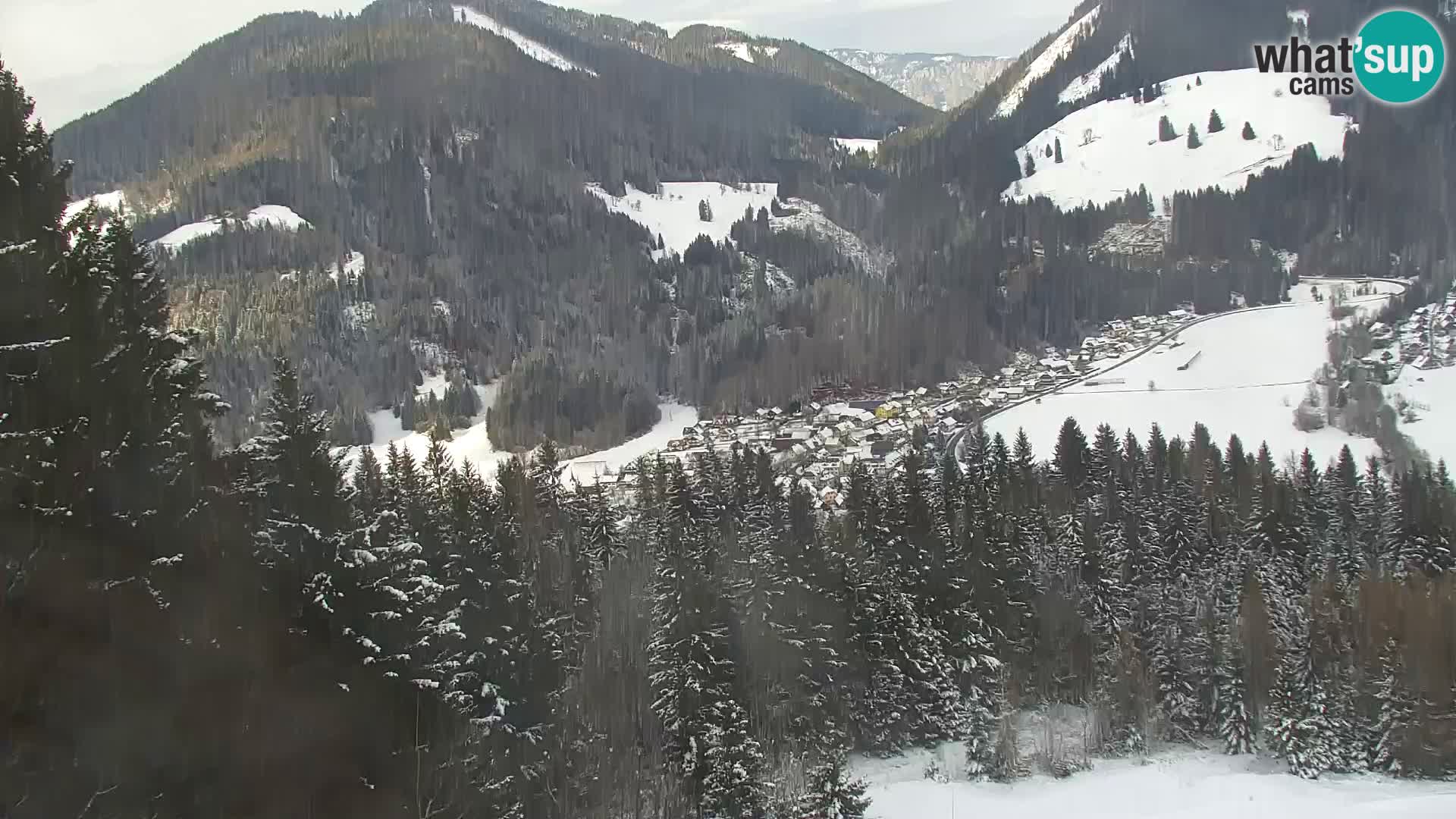 Kranjska Gora livecam VITRANC 1 | estación superior