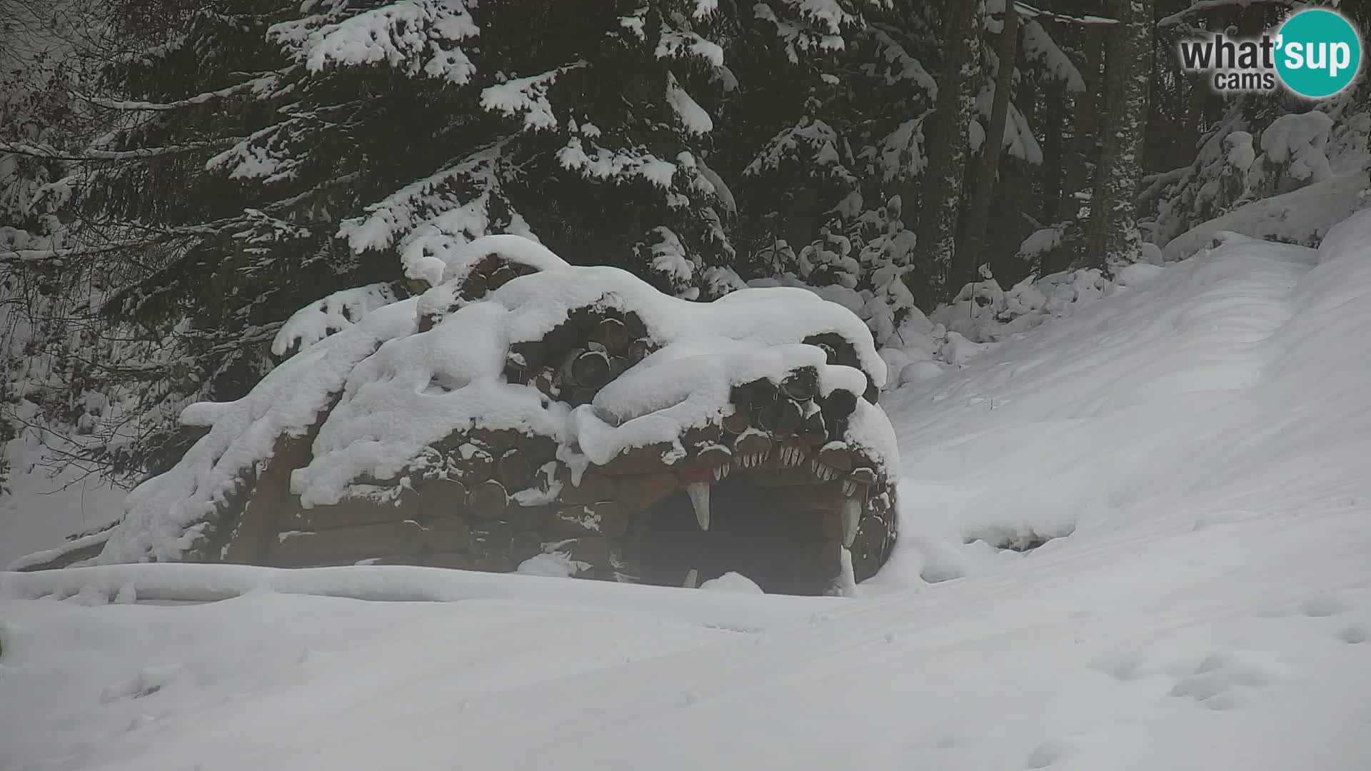 Kranjska Gora webcam VITRANC 1 | obere Station