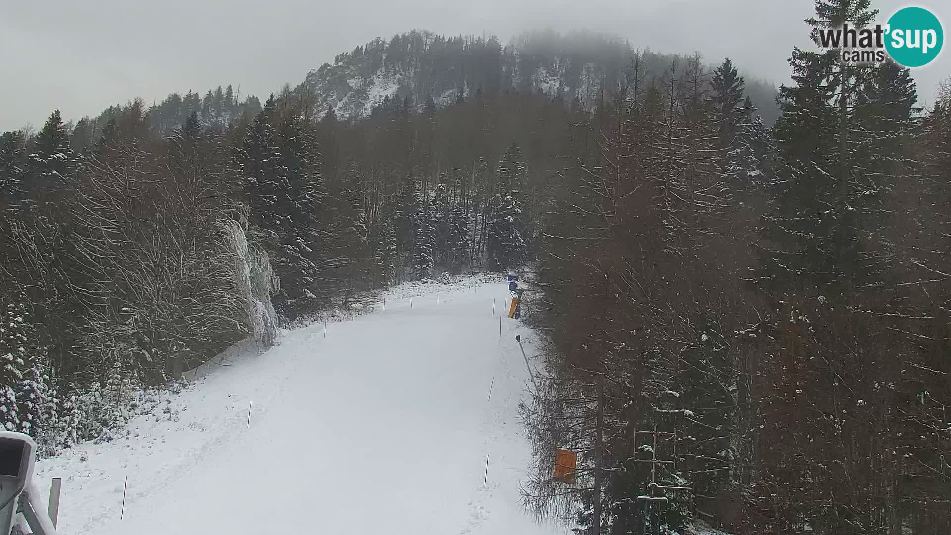 Kranjska Gora kamera VITRANC 1 | Zgornja postaja