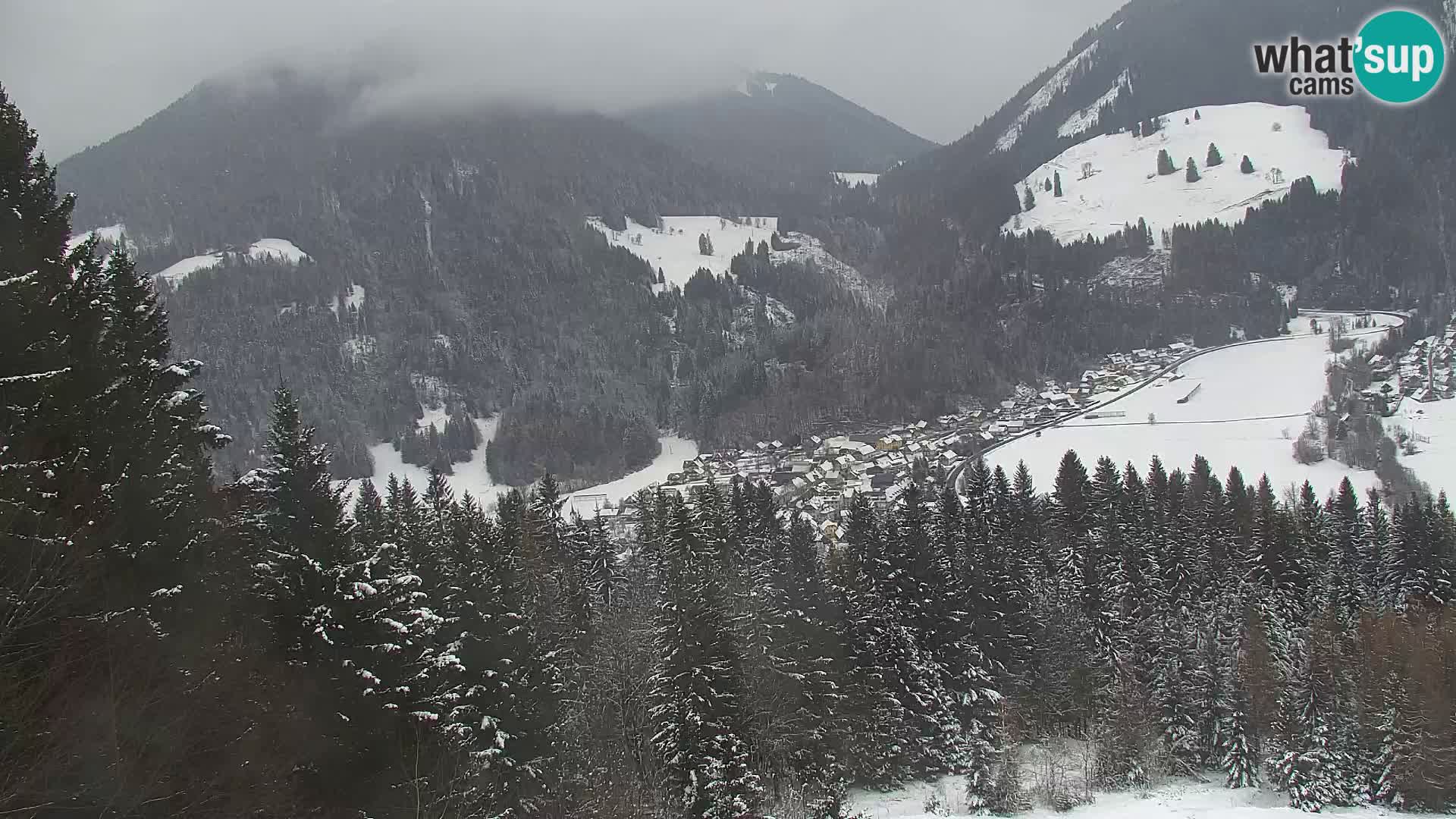 Vitranc Kranjska Gora webcam | VITRANC 1 stazione superiore