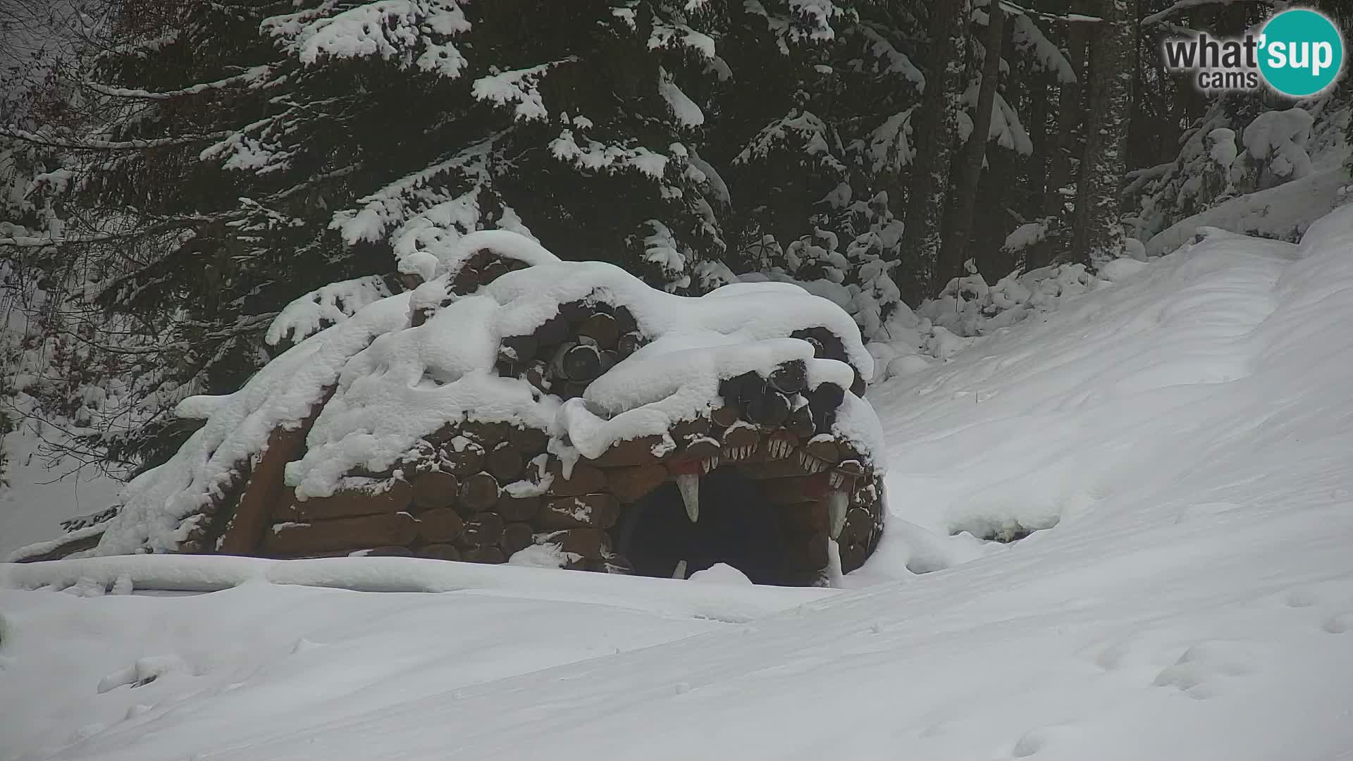 Kranjska Gora webcam VITRANC 1 | obere Station