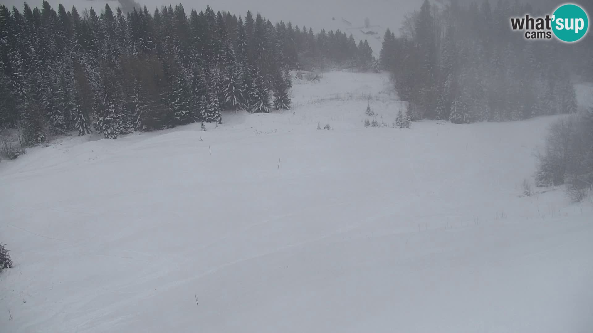 Estación de esquí Kranjska Gora | Estación superior VITRANC 1