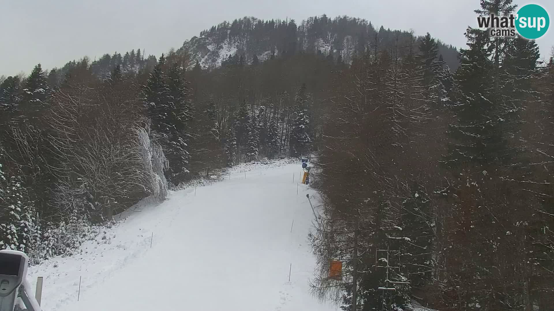 Vitranc Kranjska Gora webcam | VITRANC 1 stazione superiore