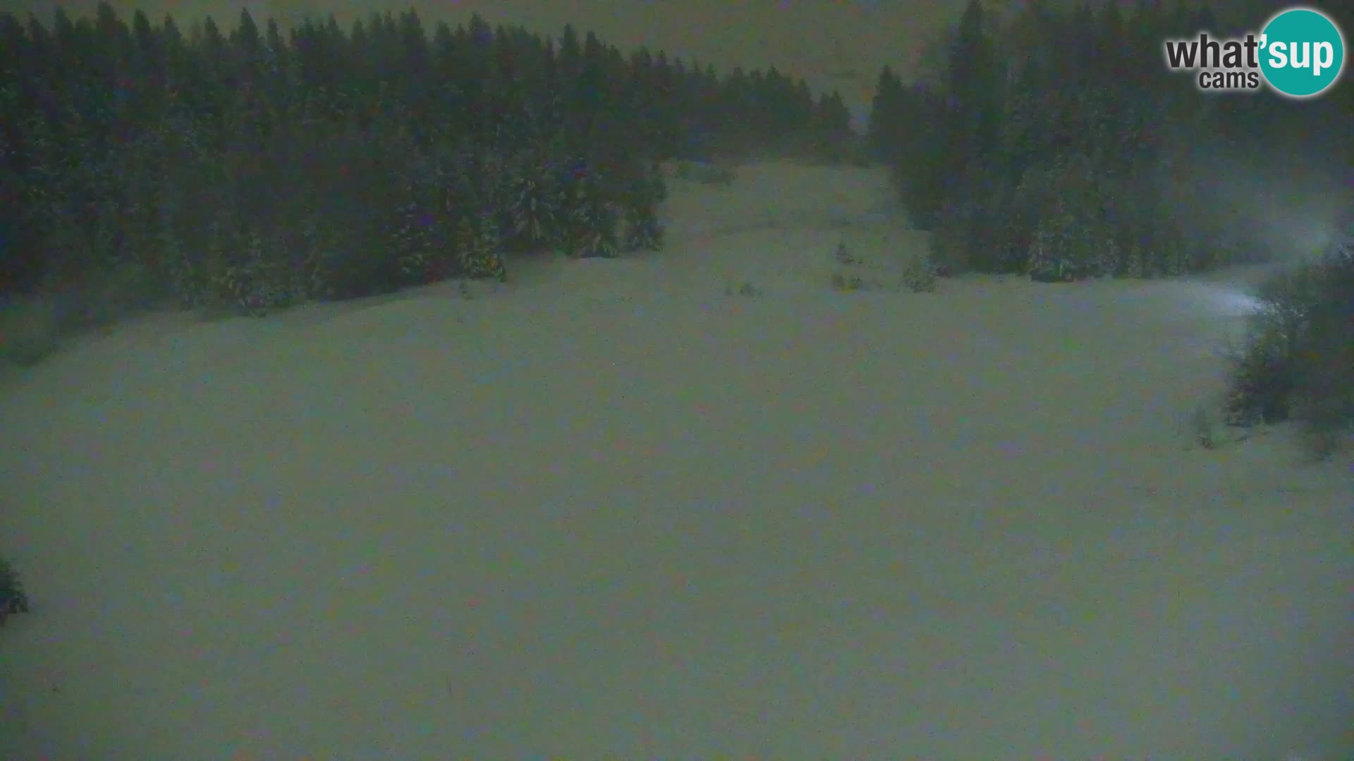 Vitranc Kranjska Gora webcam | VITRANC 1 stazione superiore