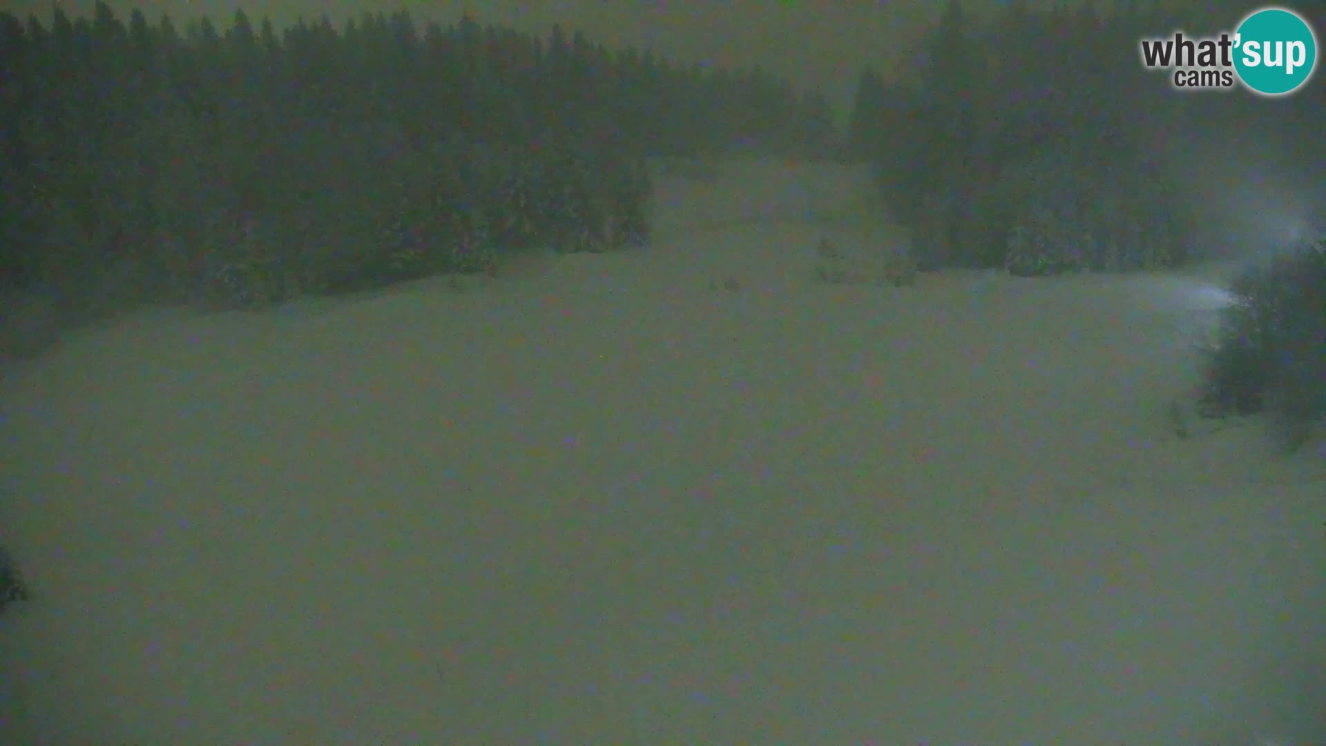 Vitranc Kranjska Gora webcam | VITRANC 1 stazione superiore