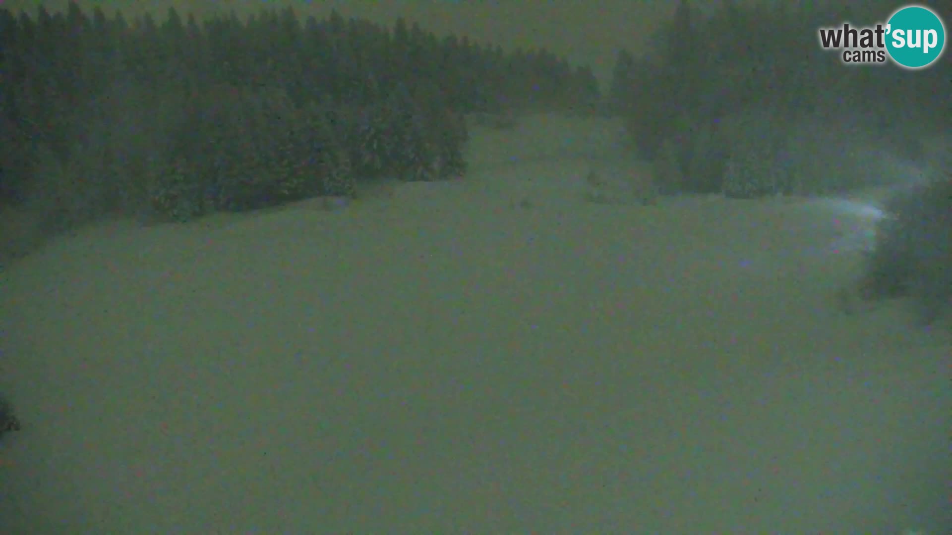 Vitranc Kranjska Gora webcam | VITRANC 1 stazione superiore