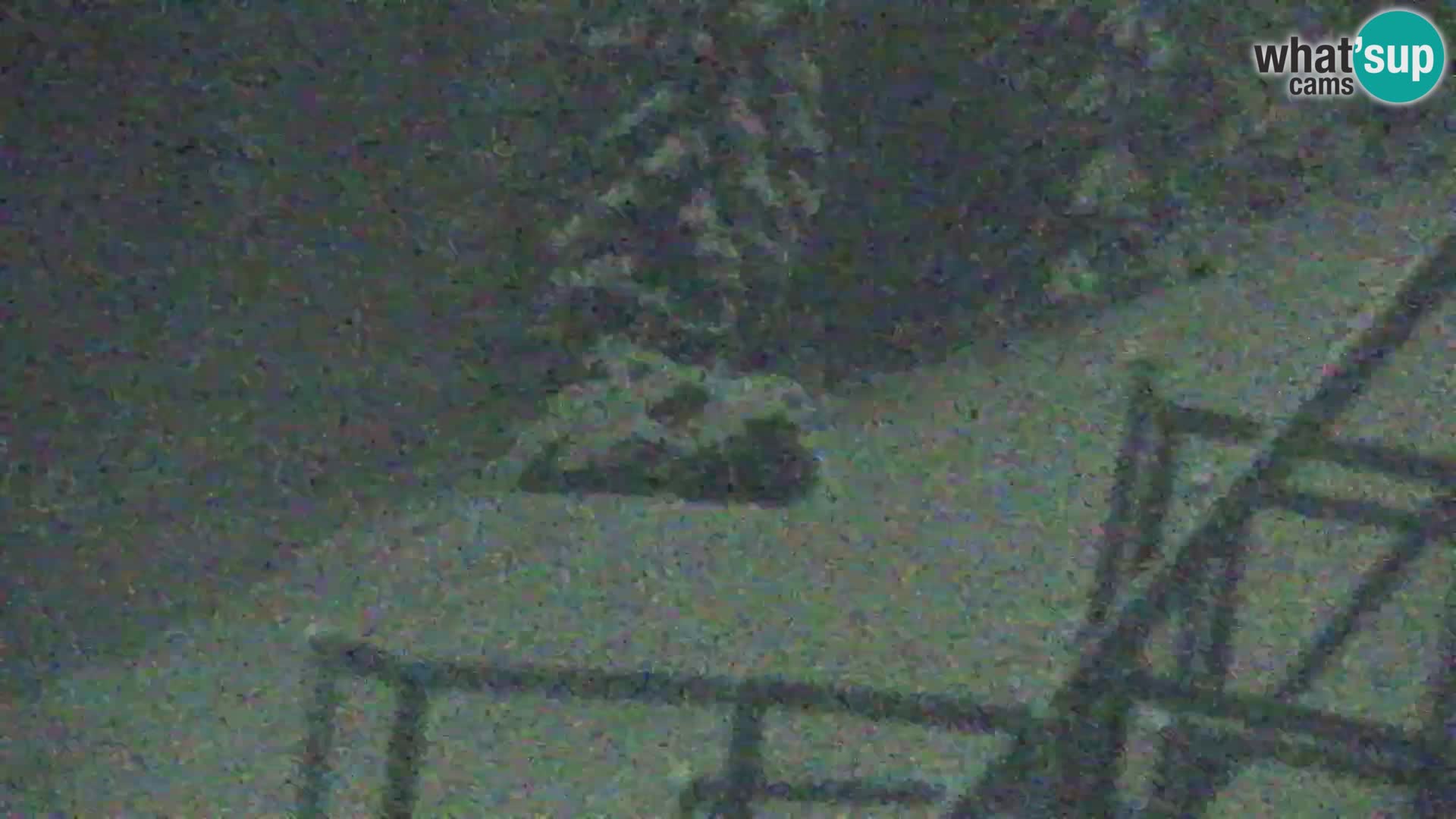 Vitranc Kranjska Gora webcam | VITRANC 1 stazione superiore