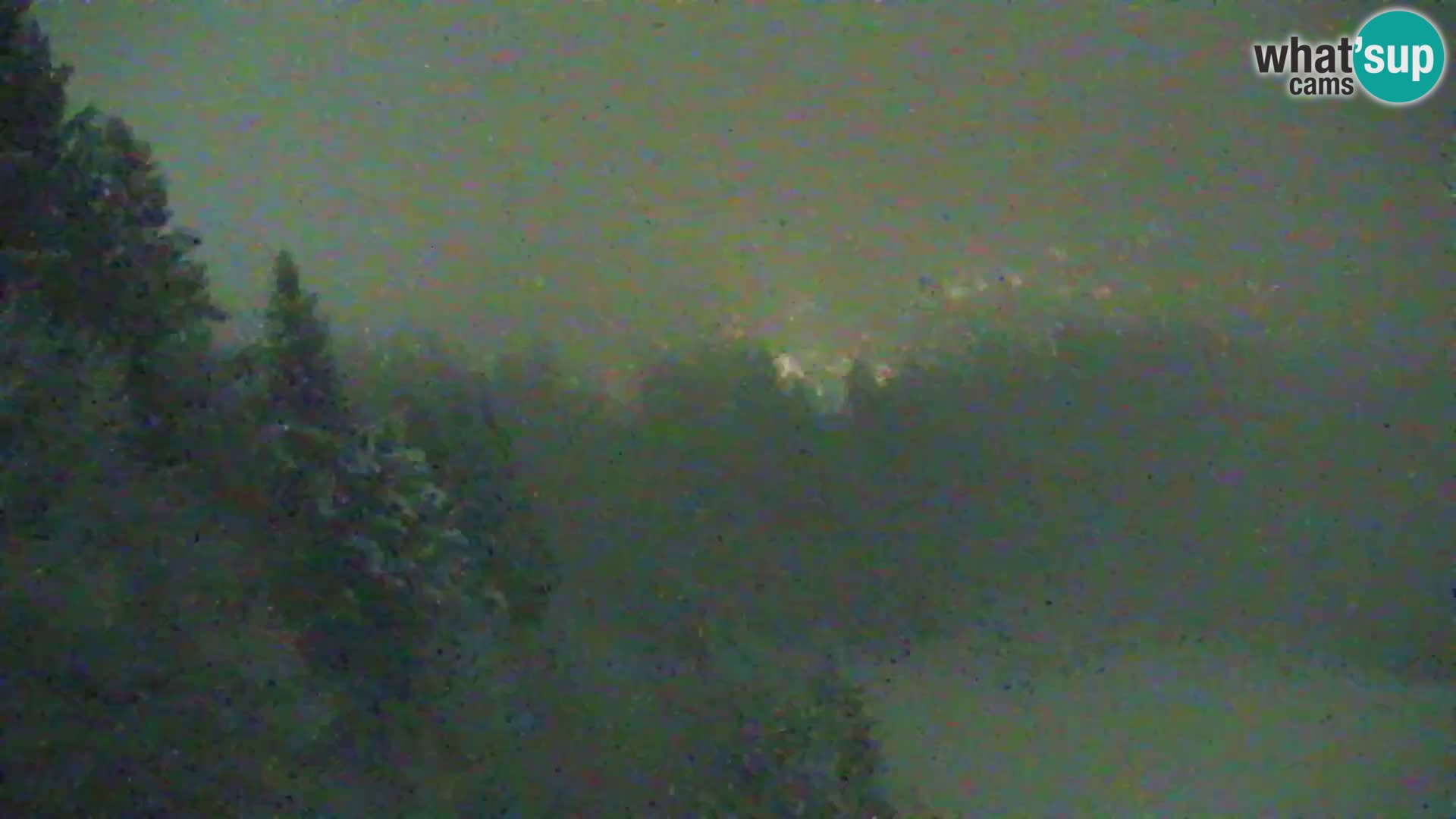 Vitranc Kranjska Gora webcam | VITRANC 1 stazione superiore