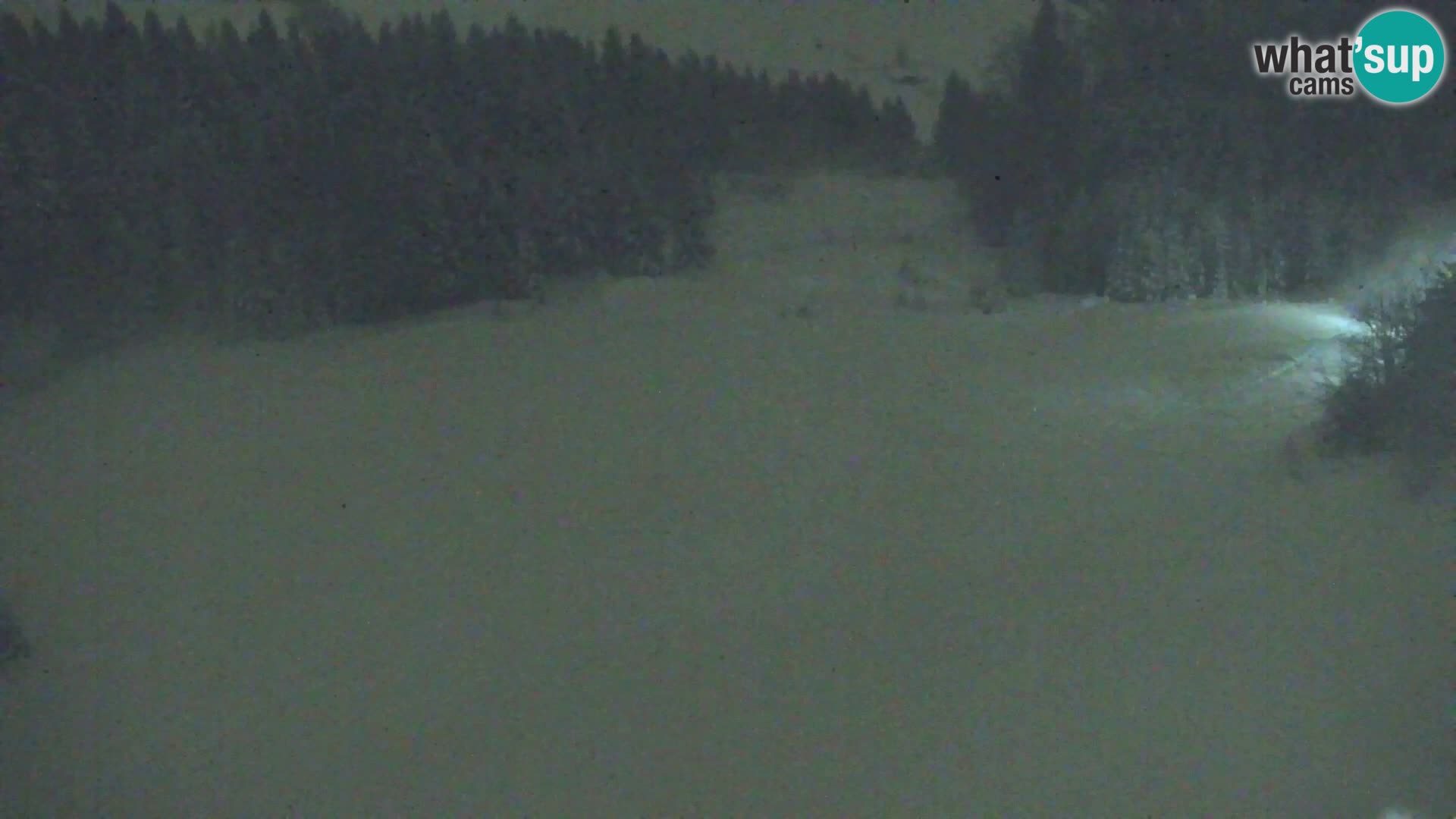 Vitranc Kranjska Gora webcam | VITRANC 1 stazione superiore