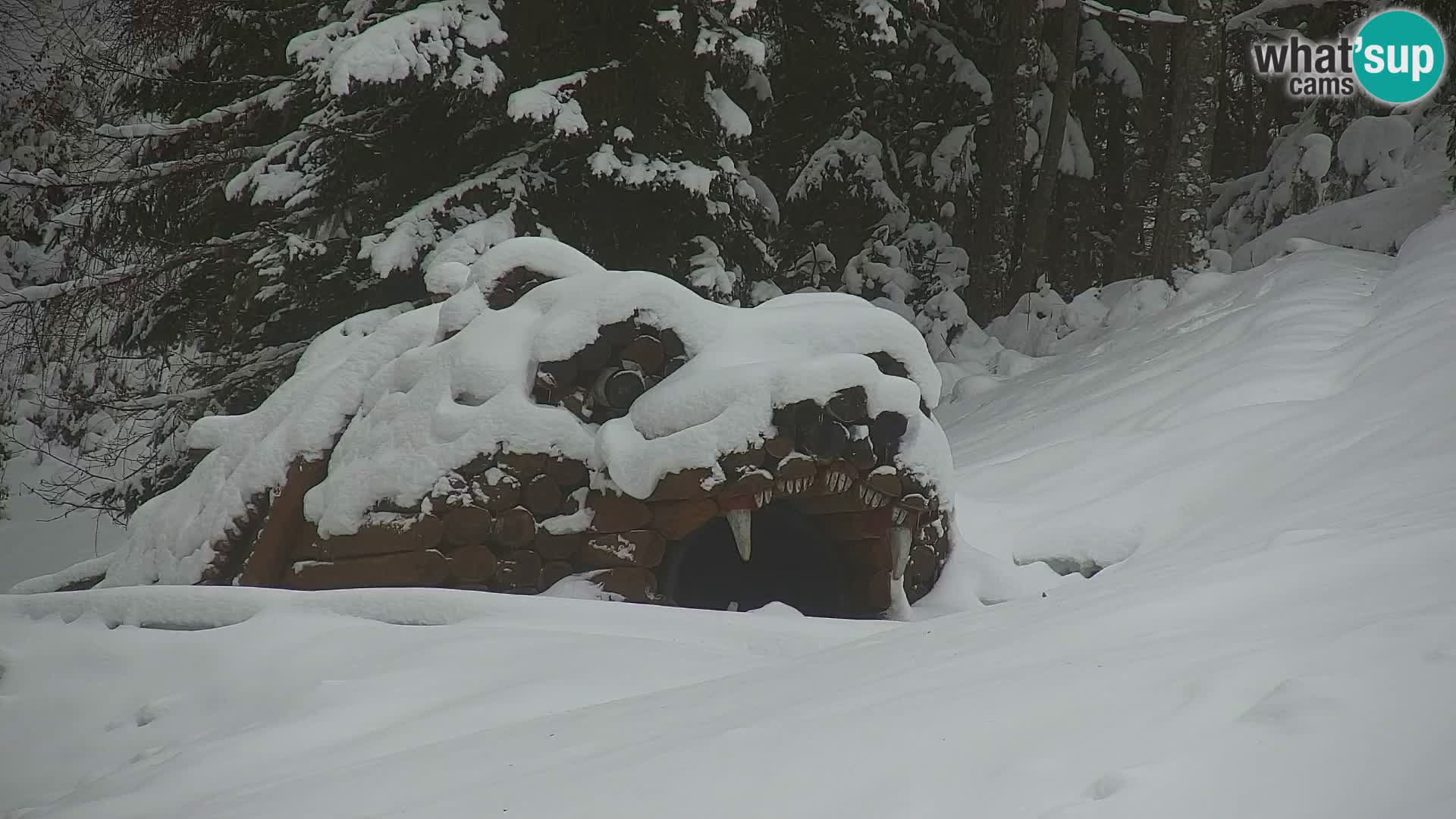 RTC Kranjska Gora – Vitranc