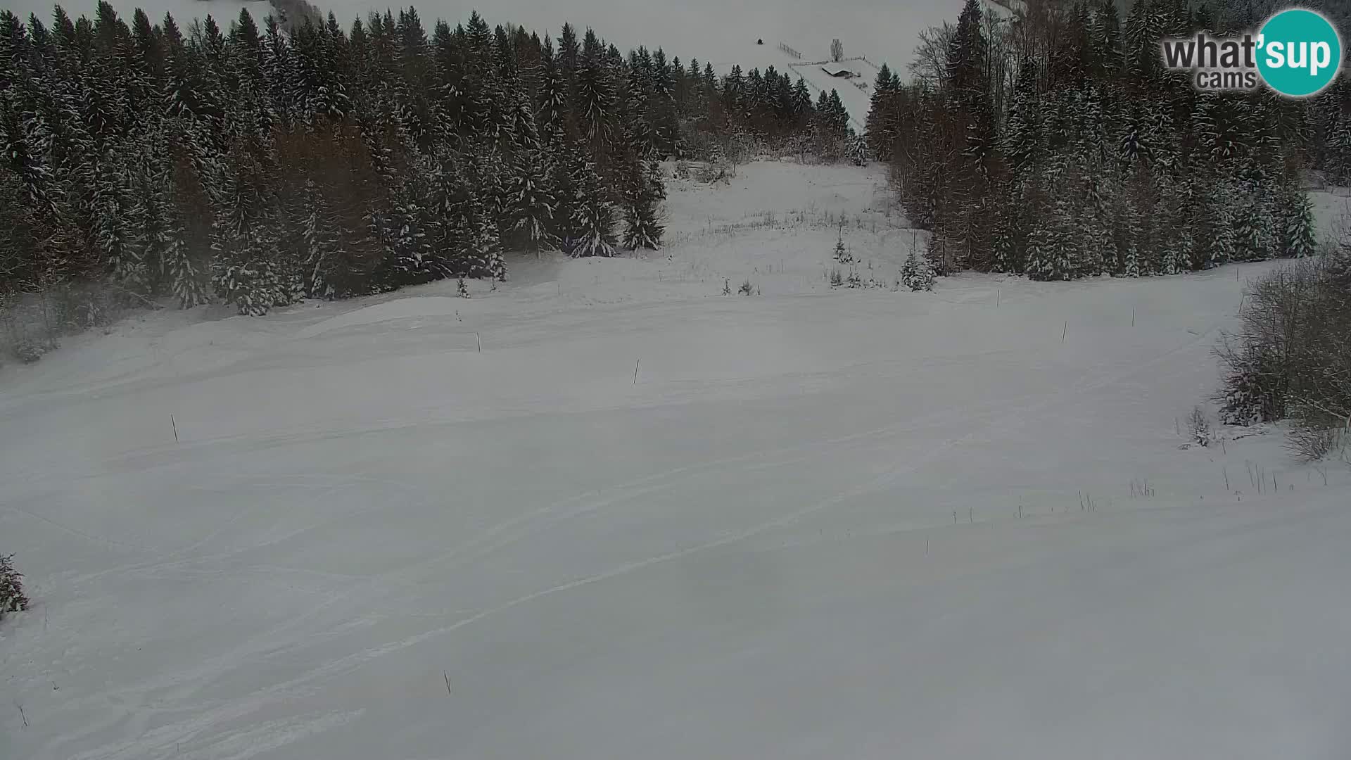 Kranjska Gora kamera VITRANC 1 | Zgornja postaja