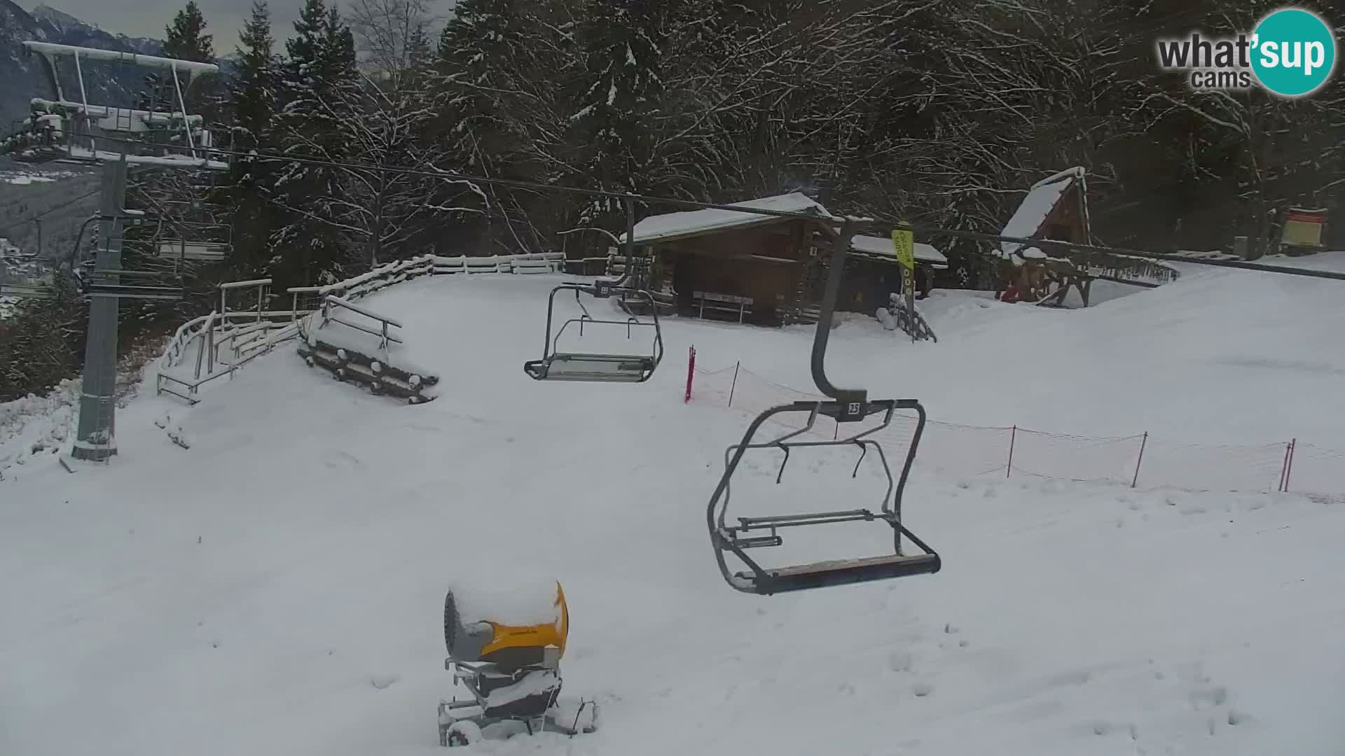 Vitranc Kranjska Gora webcam | VITRANC 1 stazione superiore