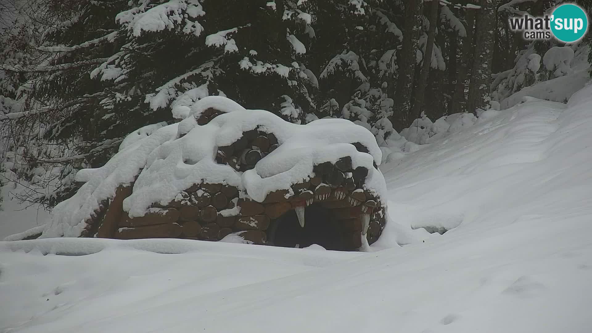 Kranjska Gora webcam VITRANC 1 | obere Station