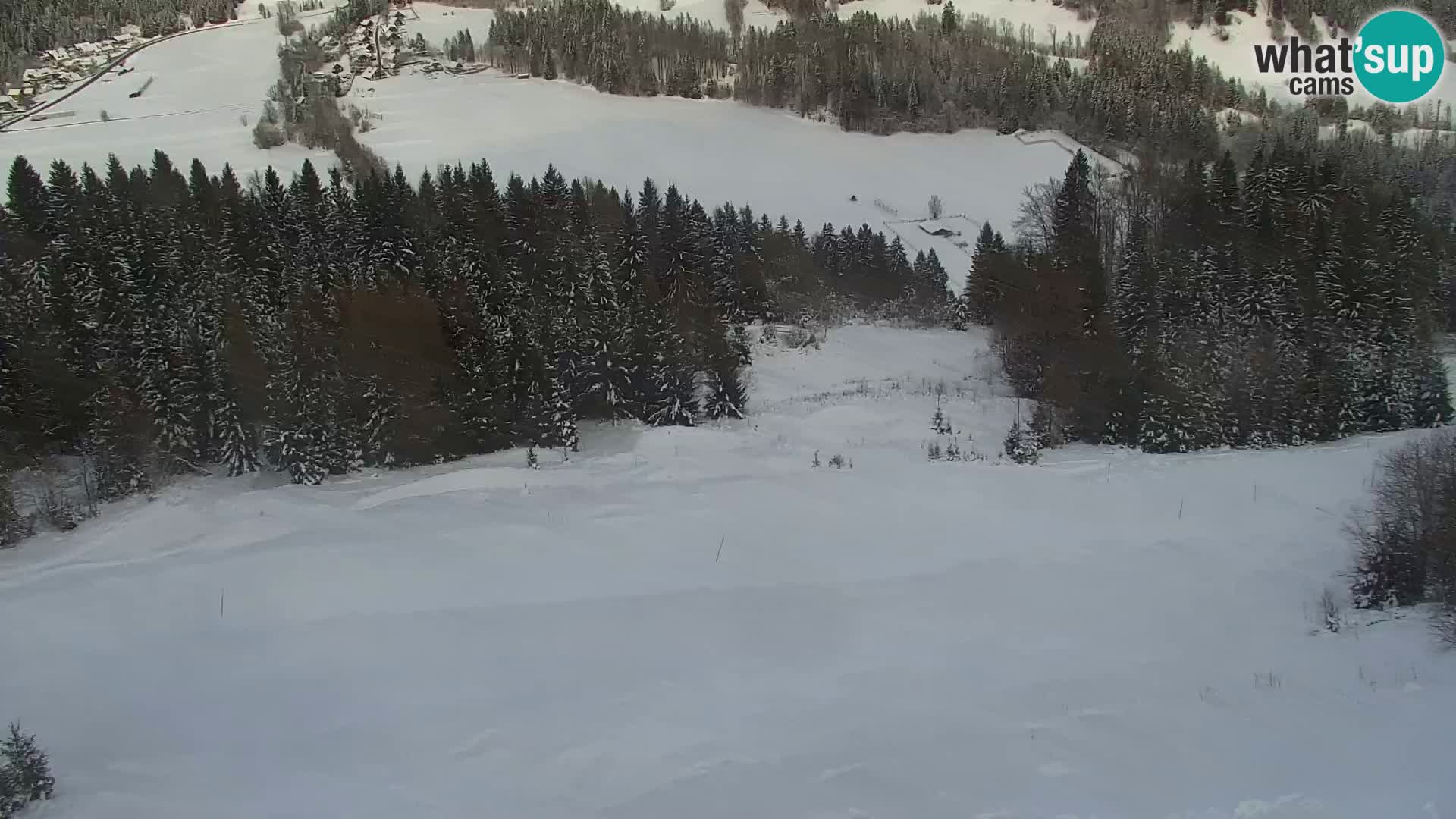 Kranjska Gora livecam VITRANC 1 | estación superior