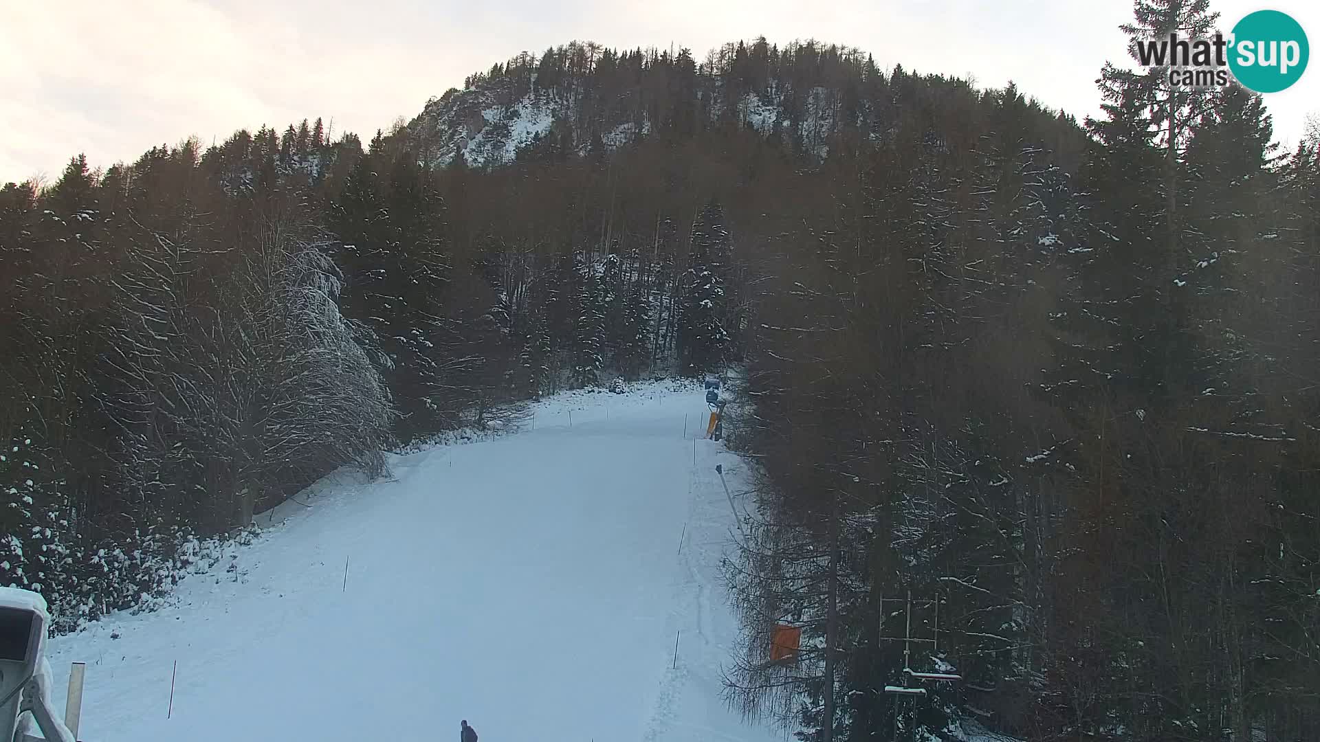 Kranjska Gora livecam VITRANC 1 | estación superior