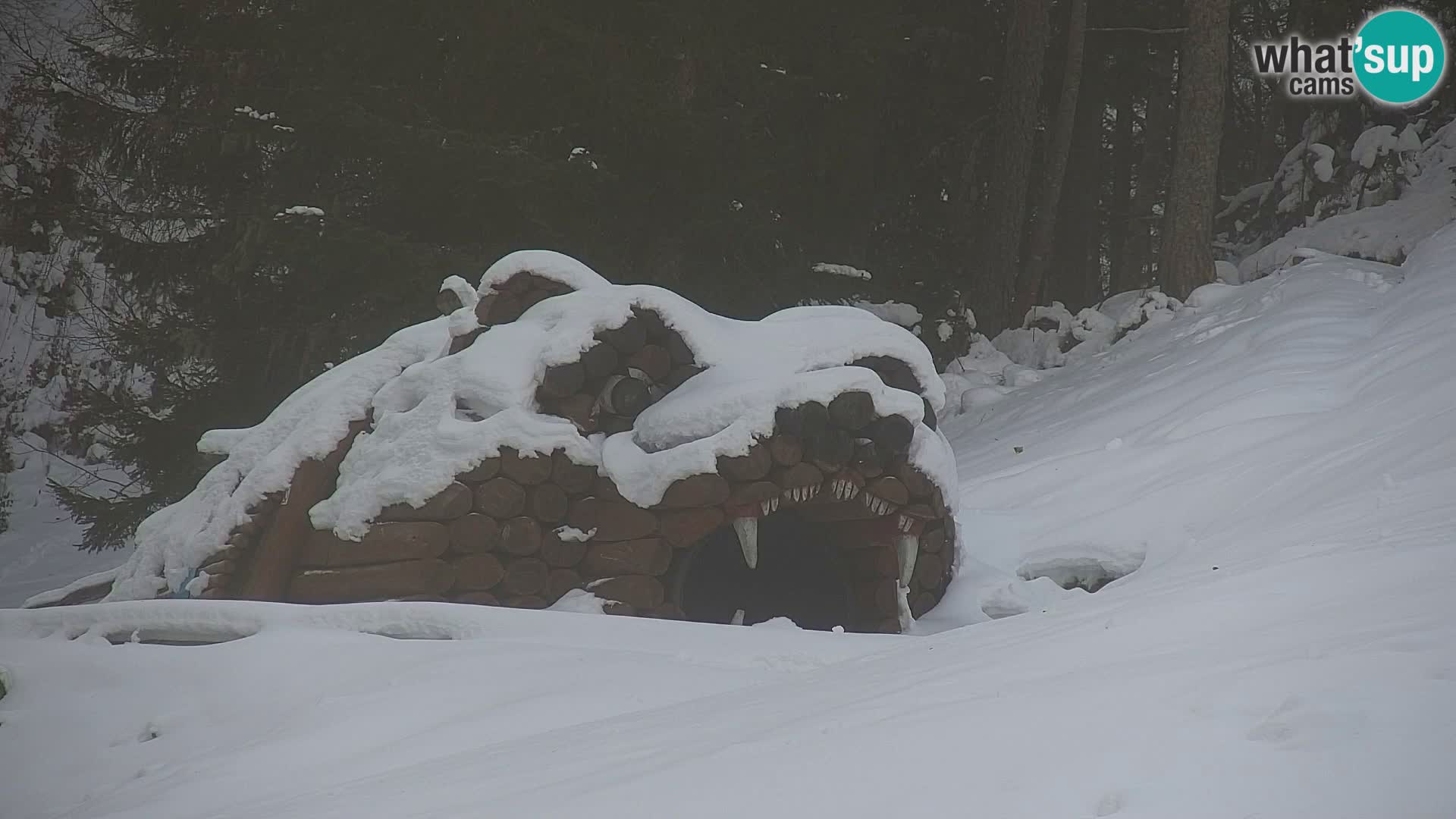 RTC Kranjska Gora – Vitranc