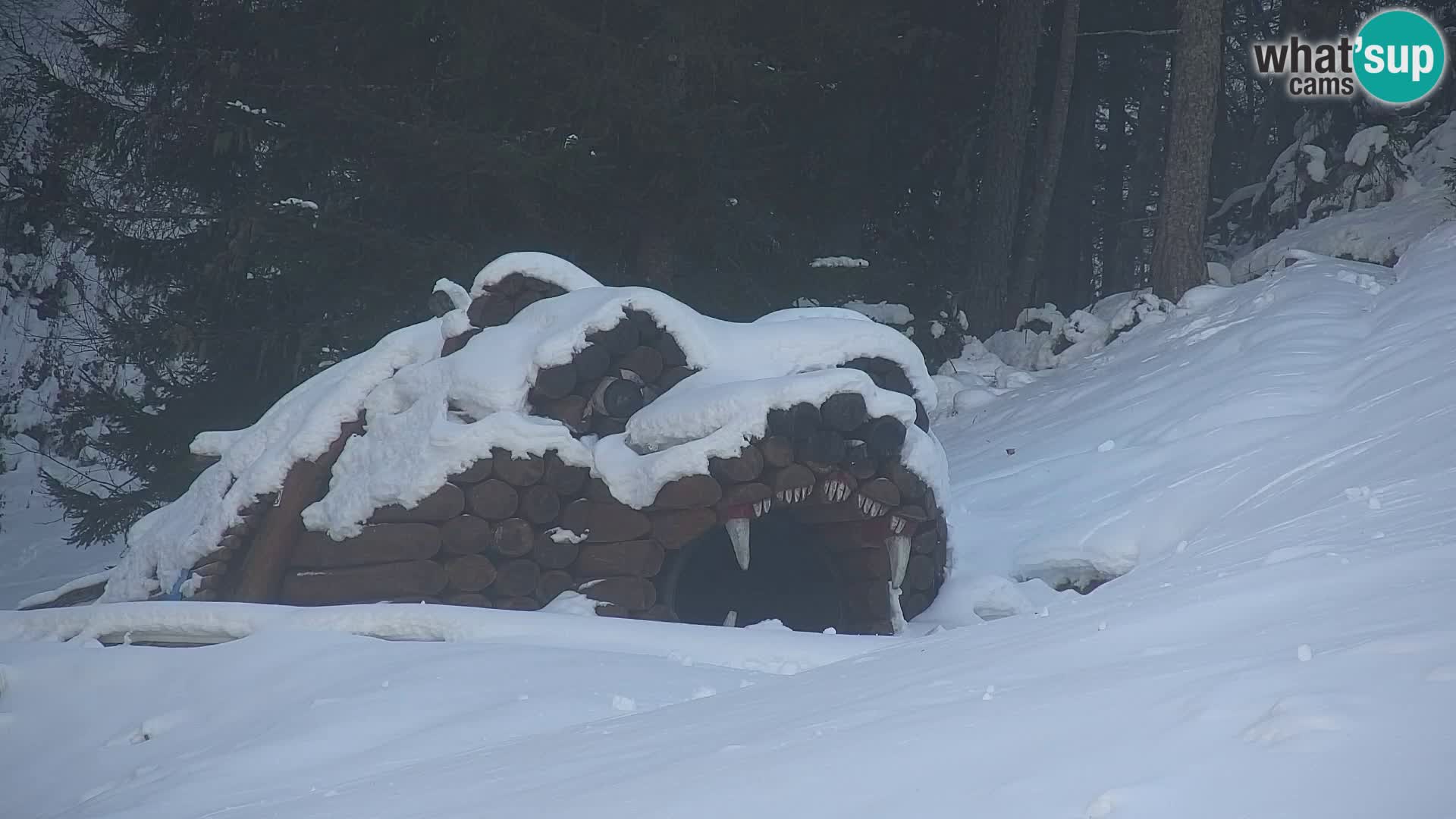 RTC Kranjska Gora – Vitranc