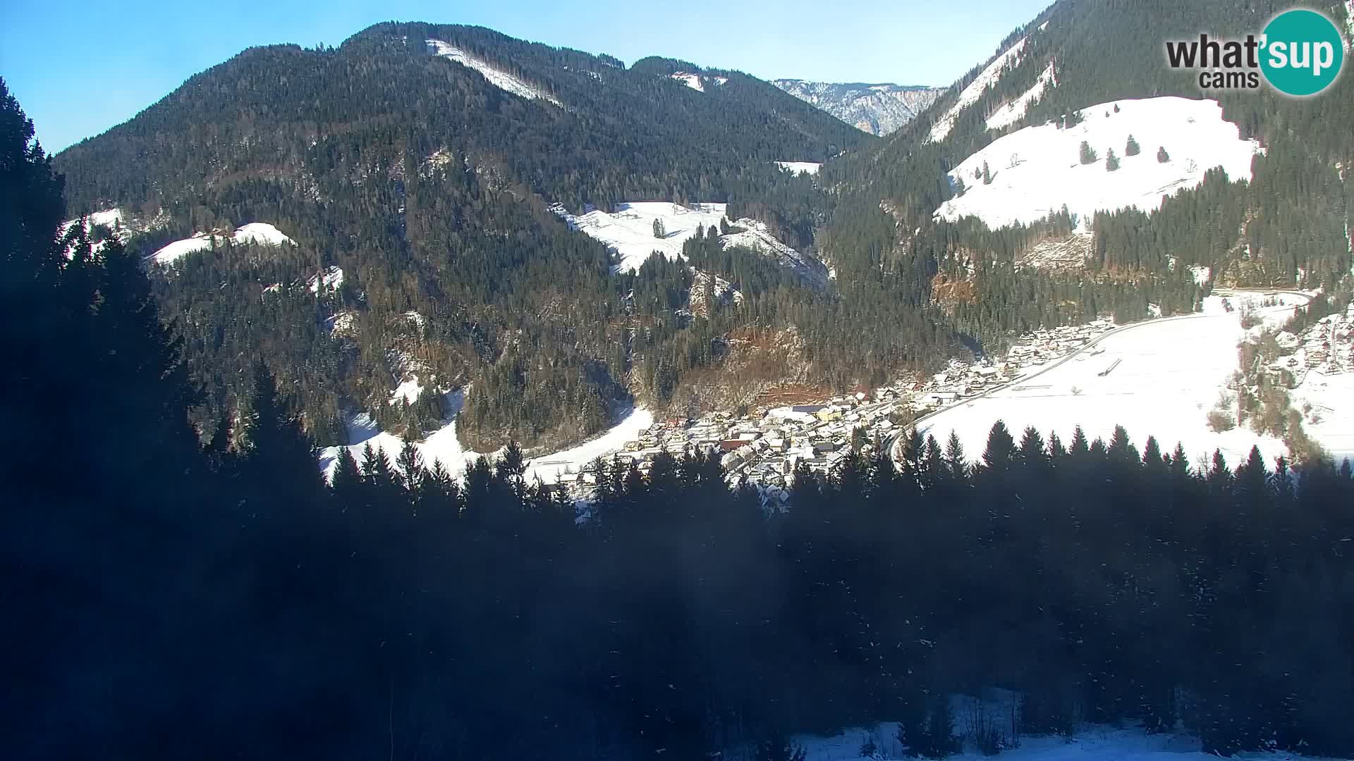 Vitranc Kranjska Gora webcam | VITRANC 1 stazione superiore