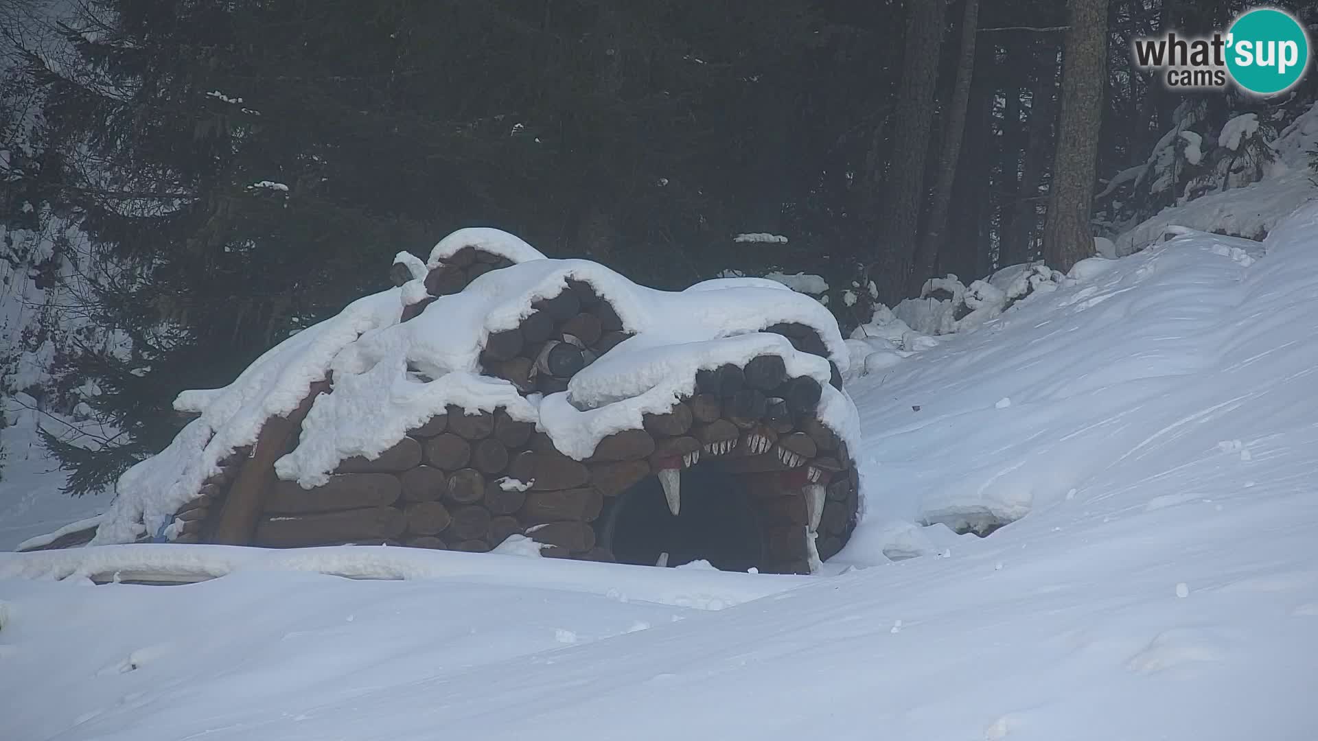 Kranjska Gora web kamera Vitranc | VITRANC 1 gornja postaja