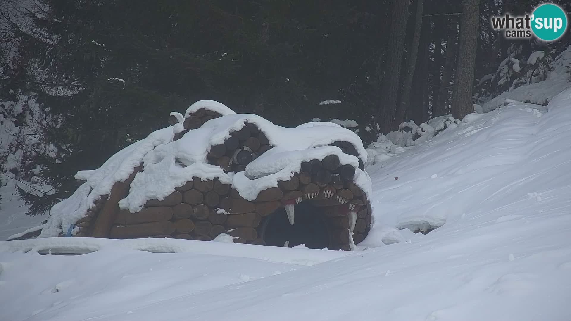 RTC Kranjska Gora – Vitranc