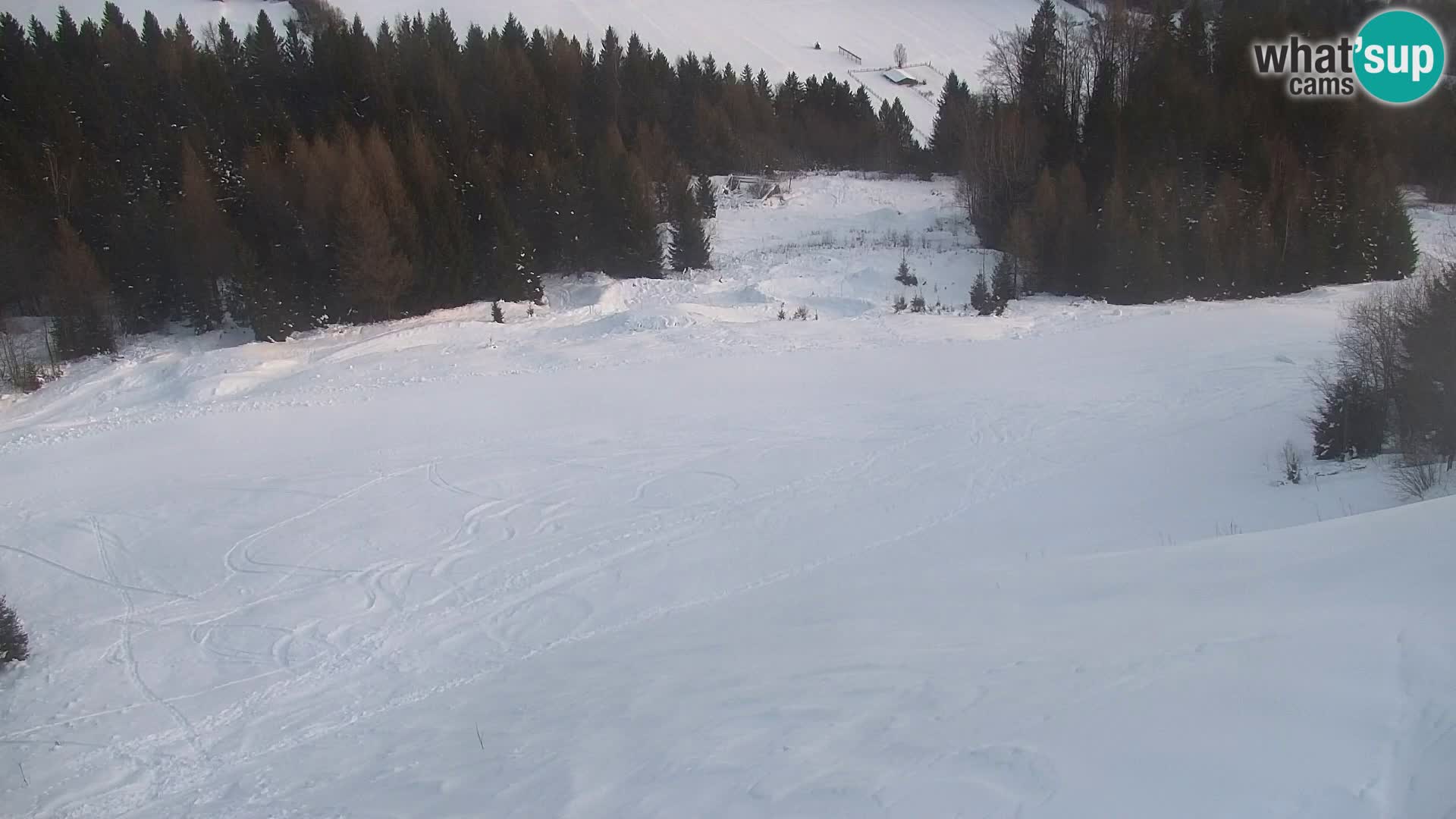 Kranjska Gora kamera VITRANC 1 | Zgornja postaja