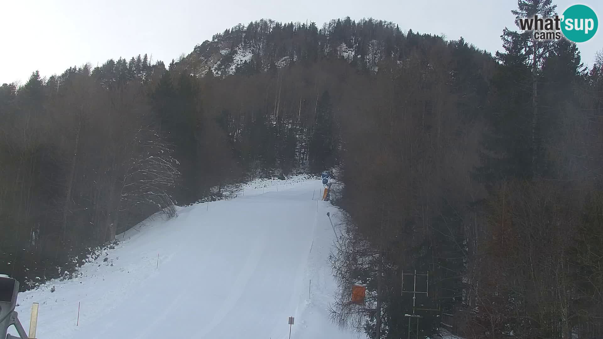 RTC Kranjska Gora – Vitranc