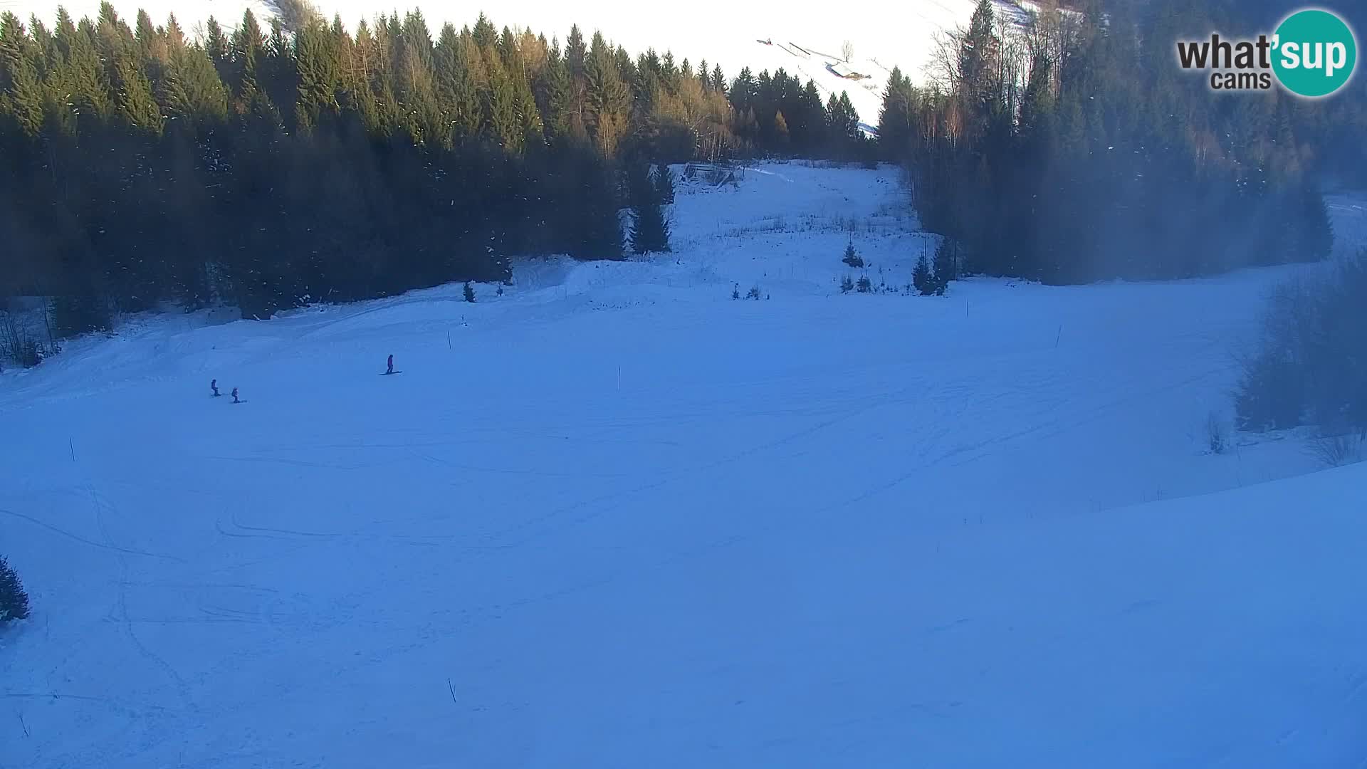 Kranjska Gora livecam VITRANC 1 | estación superior