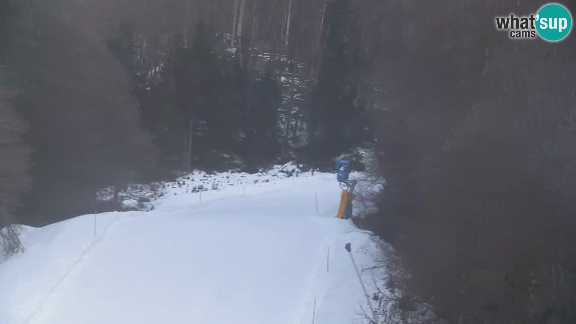 Estación de esquí Kranjska Gora | Estación superior VITRANC 1