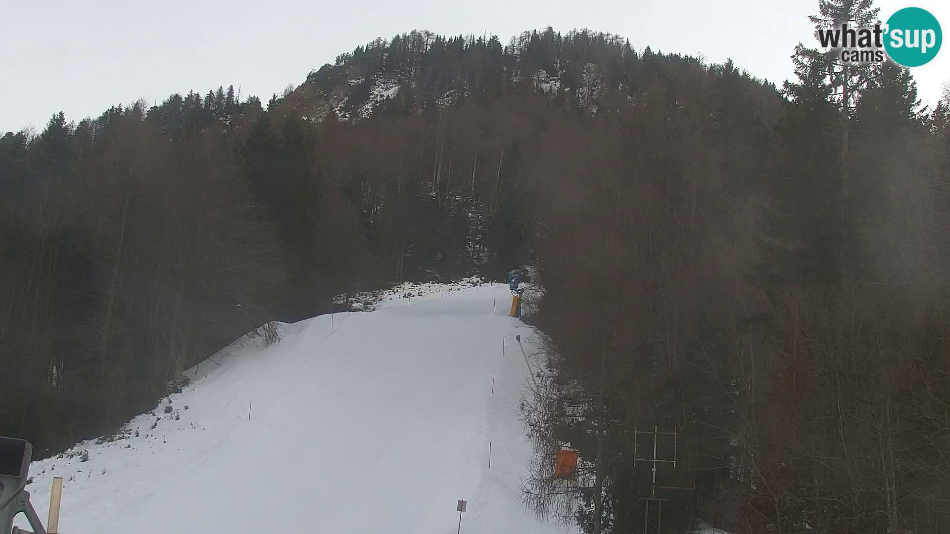 Kranjska Gora webcam VITRANC 1 | obere Station