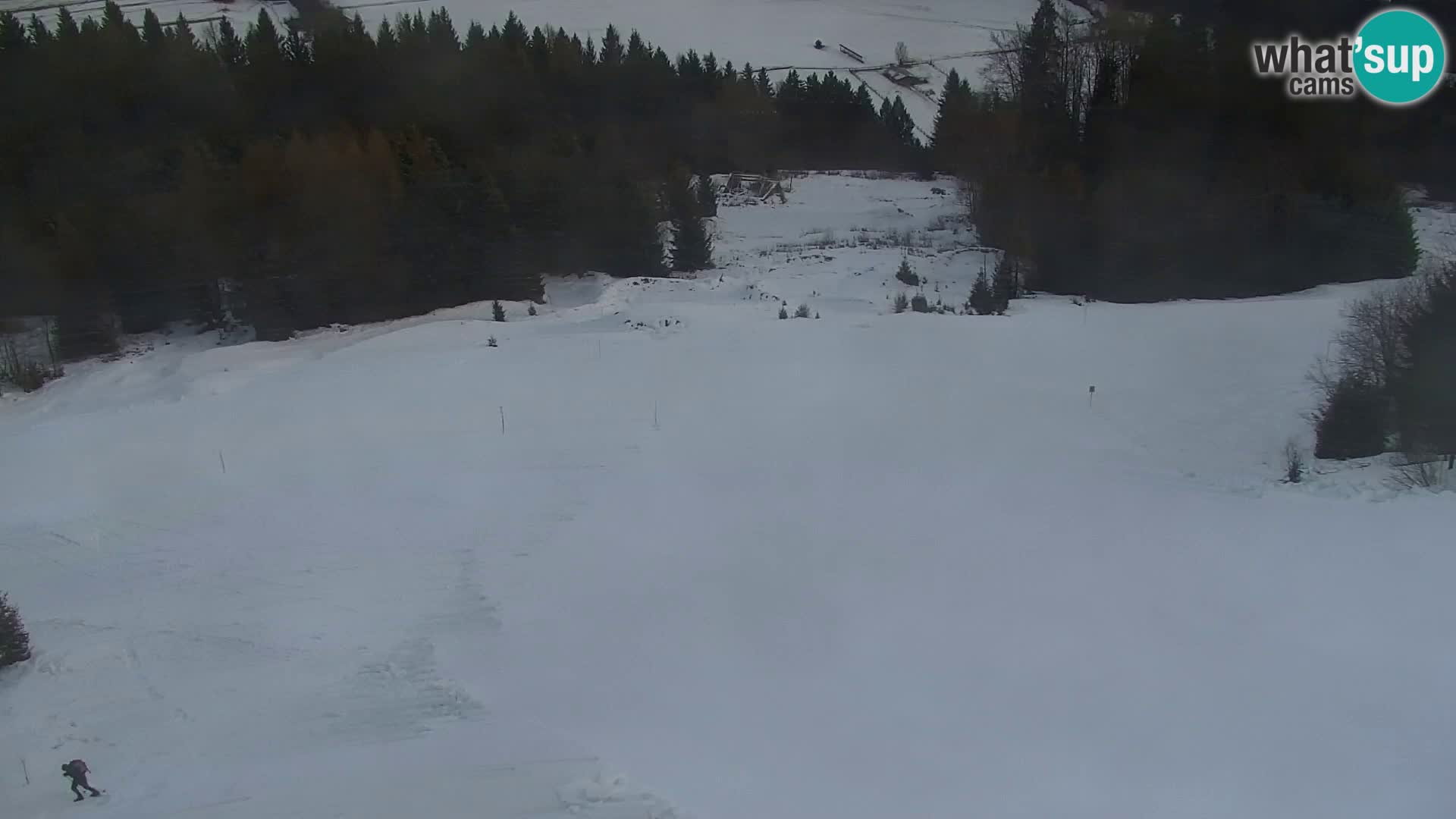 Kranjska Gora livecam VITRANC 1 | estación superior