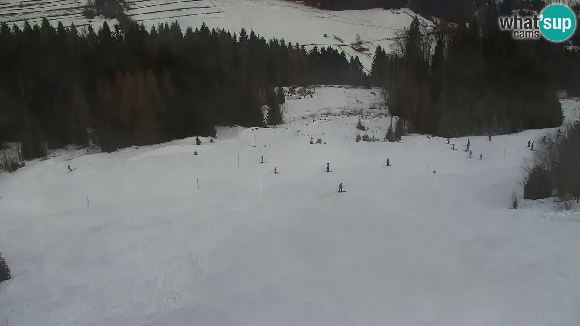 Vitranc Kranjska Gora webcam | VITRANC 1 stazione superiore