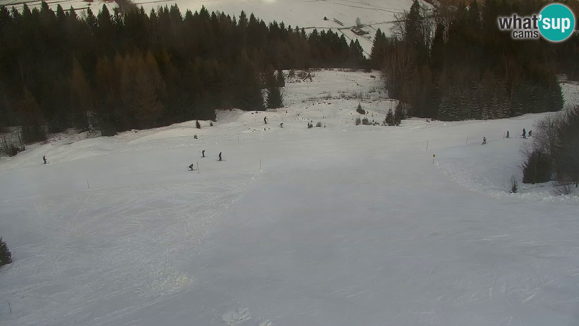 Kranjska Gora livecam VITRANC 1 | estación superior