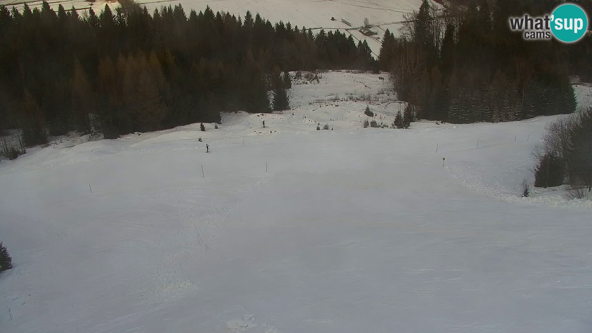 Vitranc Kranjska Gora webcam | VITRANC 1 stazione superiore