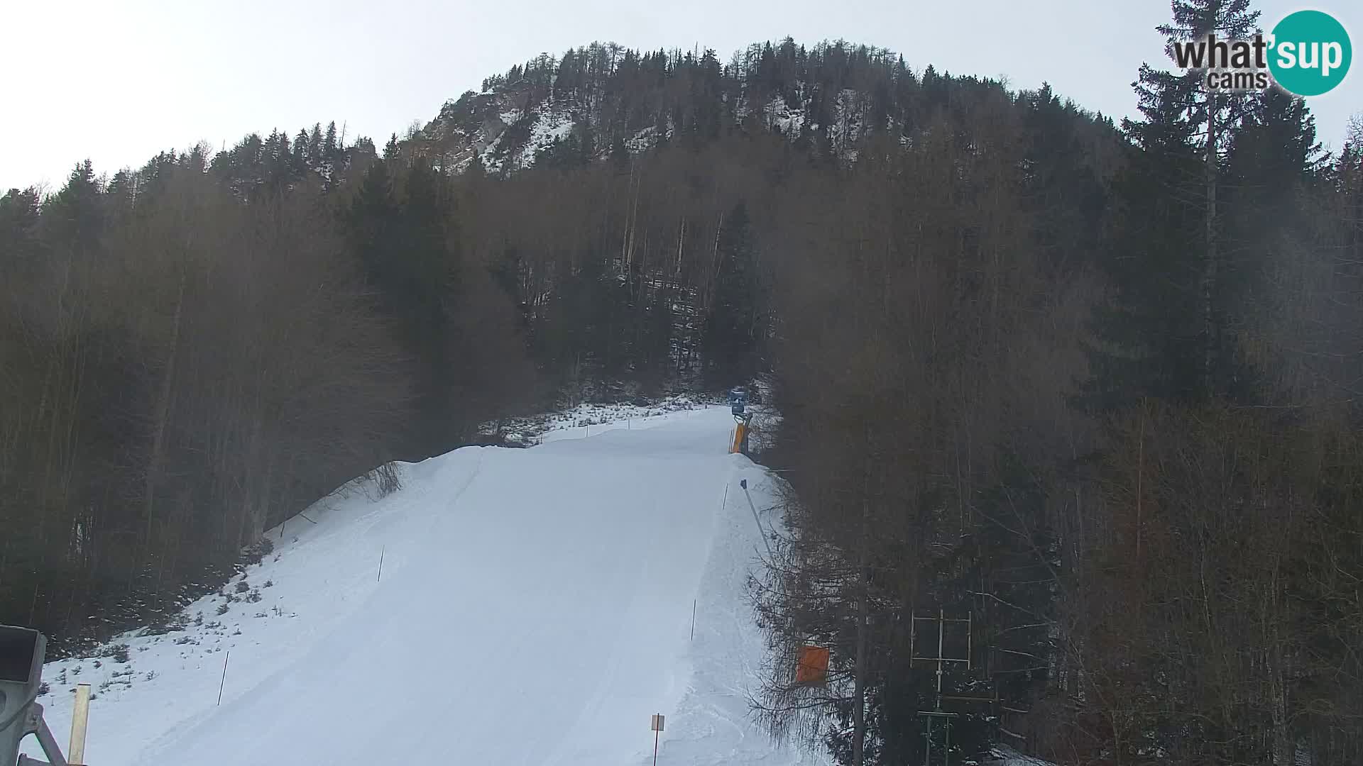 Kranjska Gora web kamera Vitranc | VITRANC 1 gornja postaja