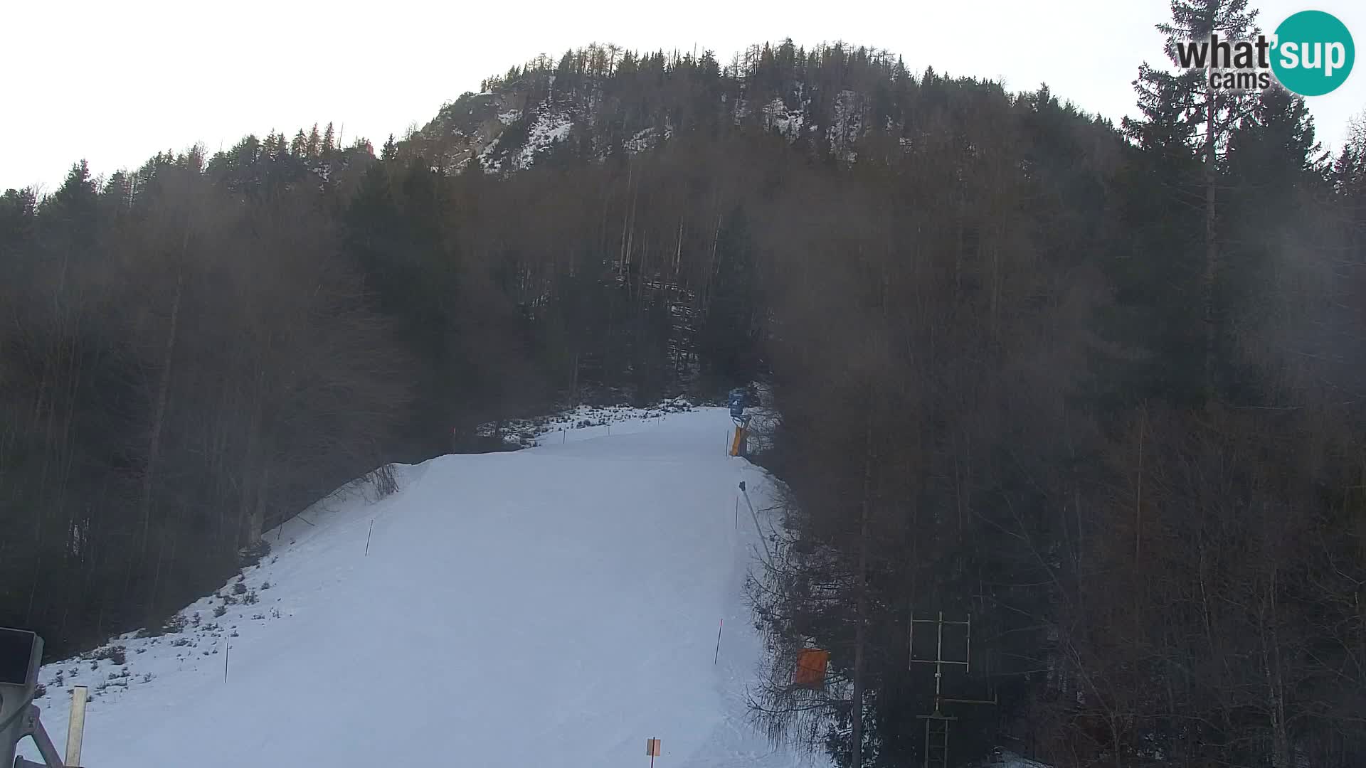 Kranjska Gora web kamera Vitranc | VITRANC 1 gornja postaja