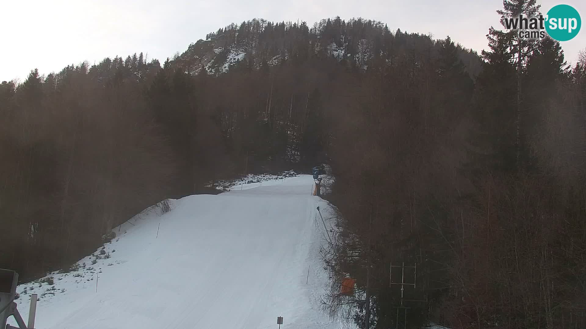 Kranjska Gora webcam VITRANC 1 | obere Station