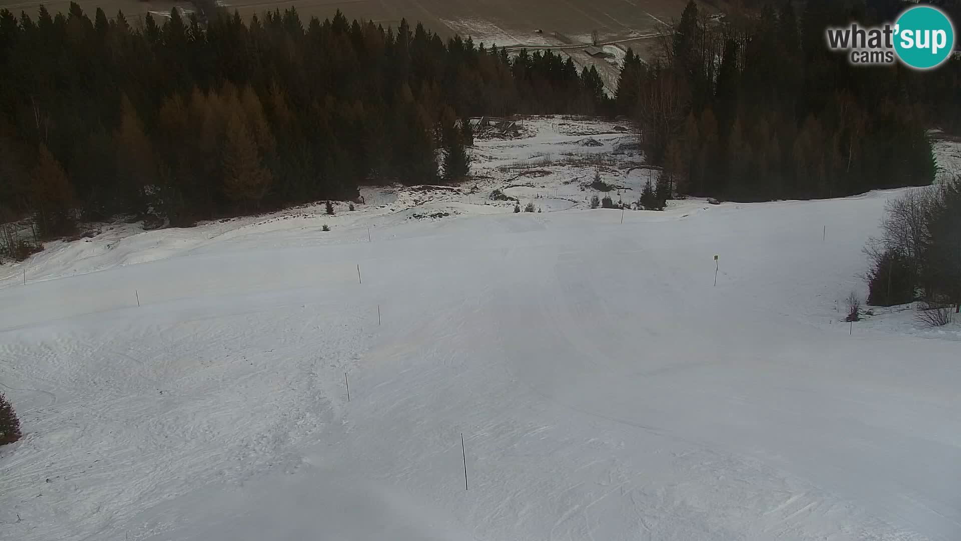 Vitranc Kranjska Gora webcam | VITRANC 1 stazione superiore