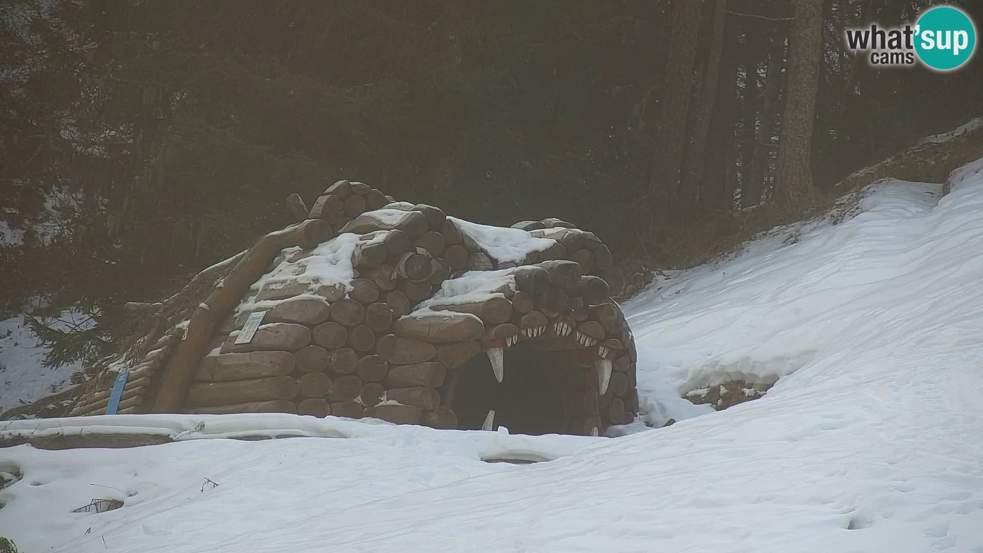 Kranjska Gora web kamera Vitranc | VITRANC 1 gornja postaja