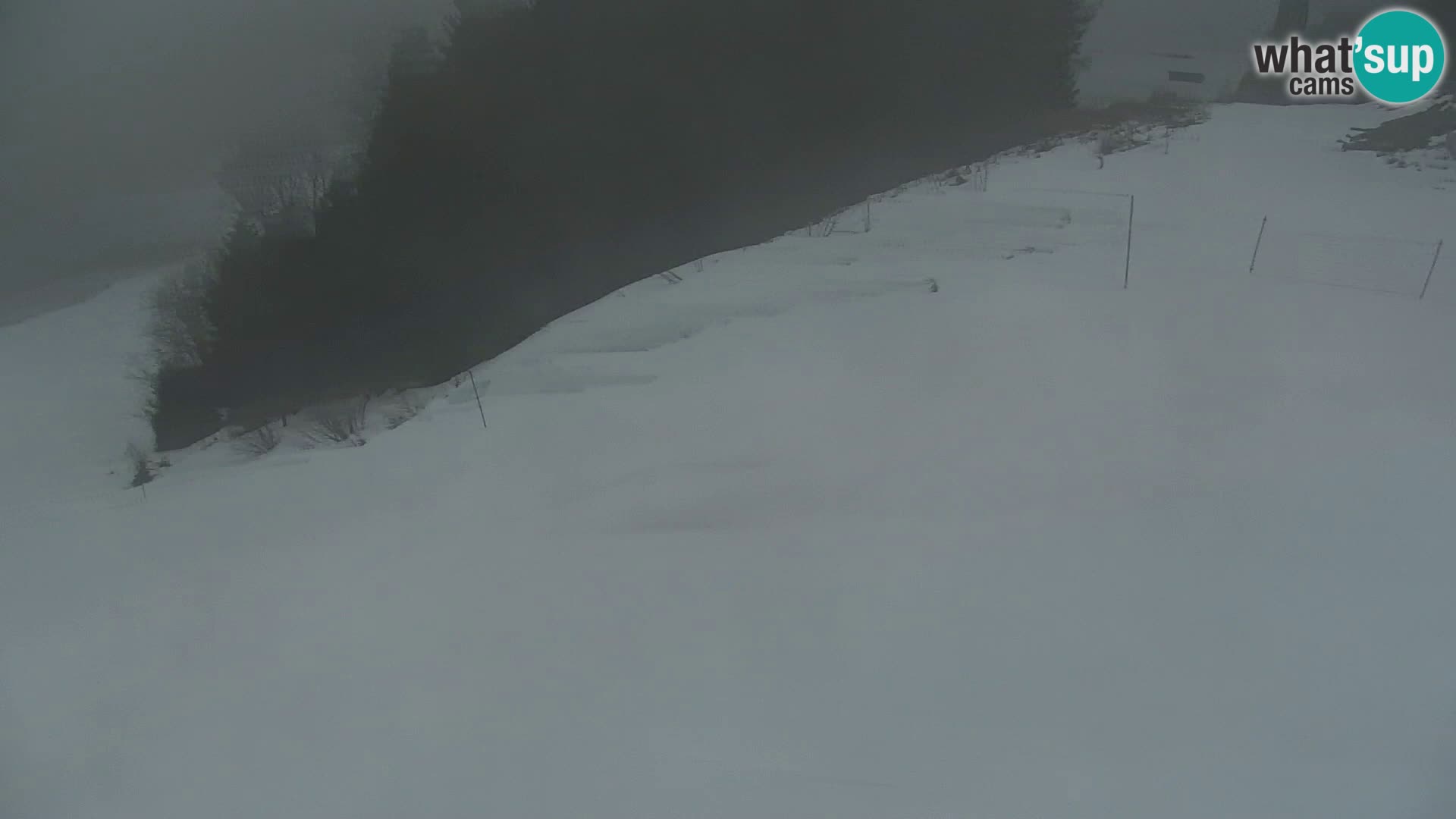 Vitranc Kranjska Gora webcam | VITRANC 1 stazione superiore