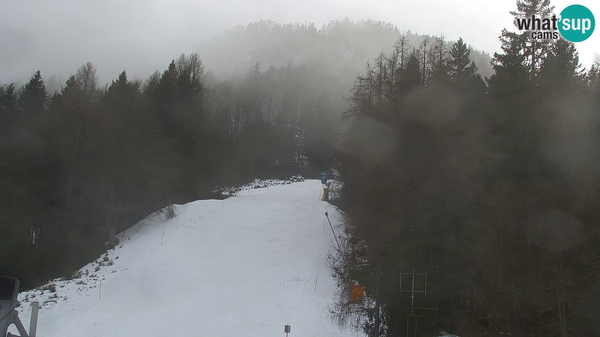 Vitranc Kranjska Gora webcam | VITRANC 1 stazione superiore