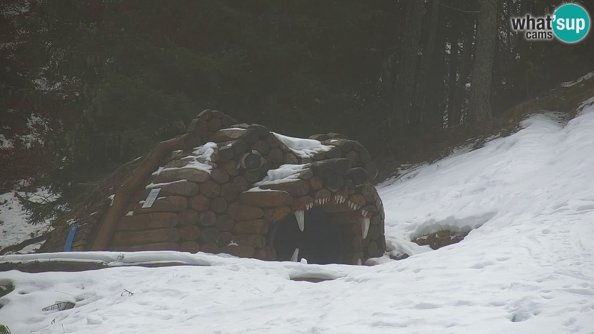 Kranjska Gora kamera VITRANC 1 | Zgornja postaja