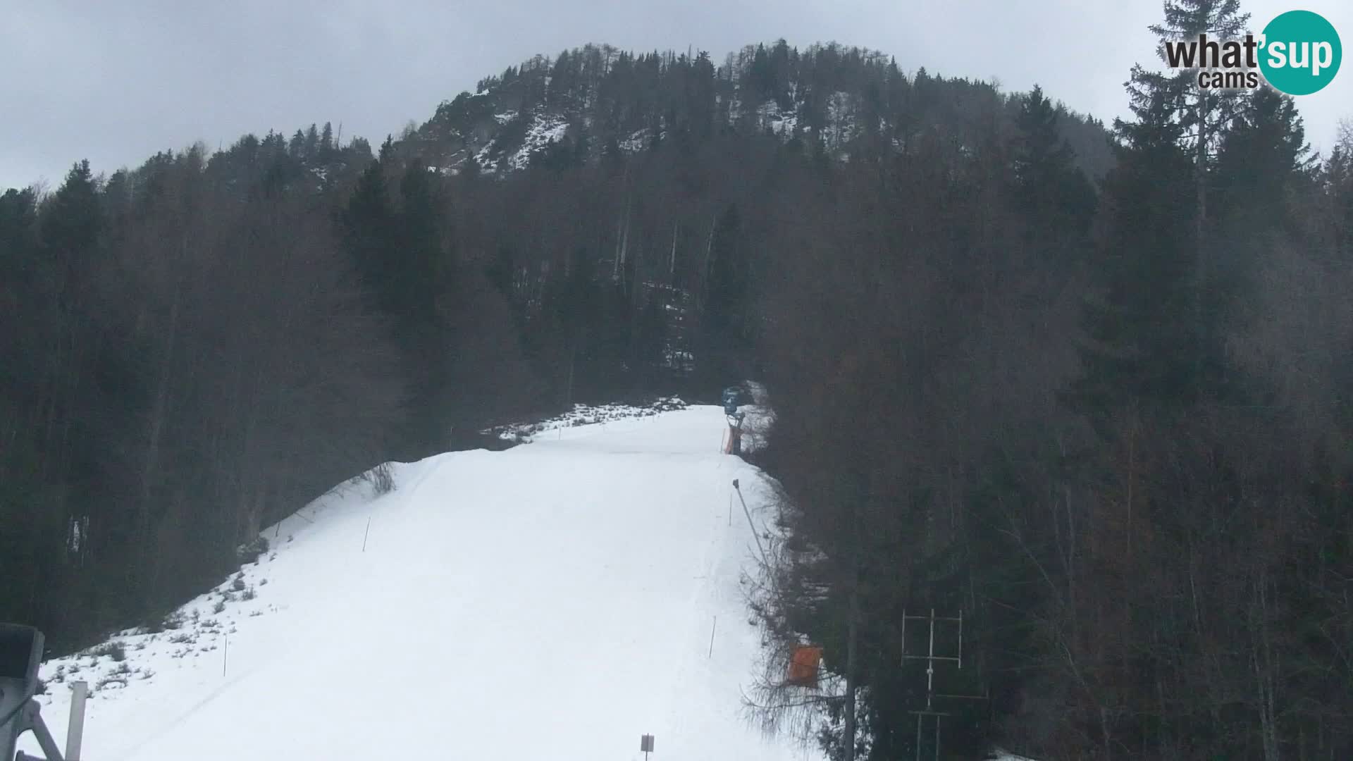 Estación de esquí Kranjska Gora | Estación superior VITRANC 1