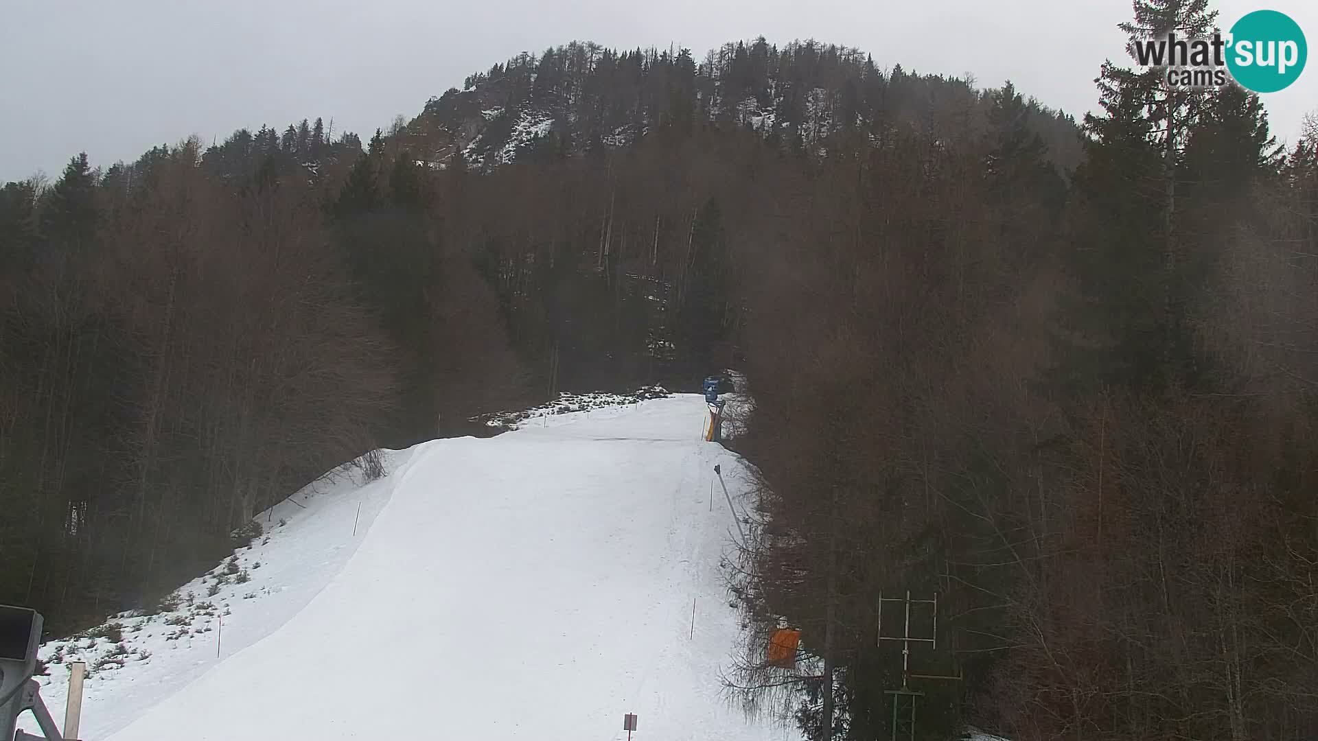 Kranjska Gora kamera VITRANC 1 | Zgornja postaja