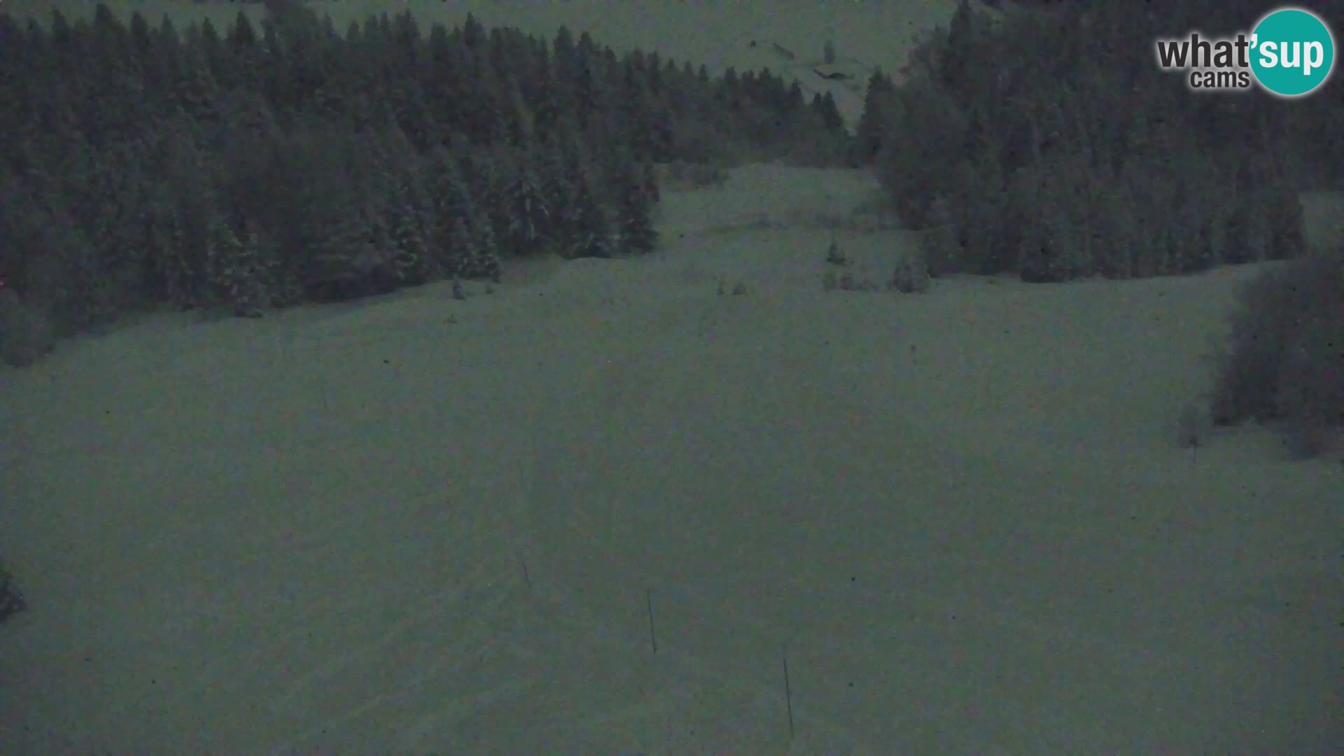 Vitranc Kranjska Gora webcam | VITRANC 1 stazione superiore