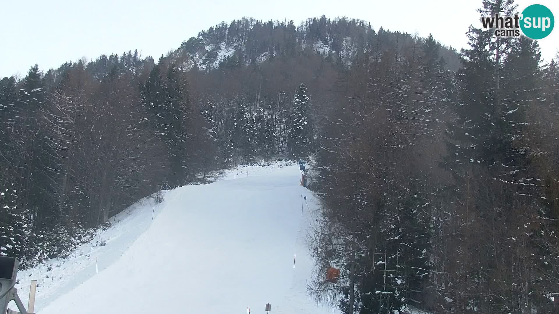 RTC Kranjska Gora – Vitranc