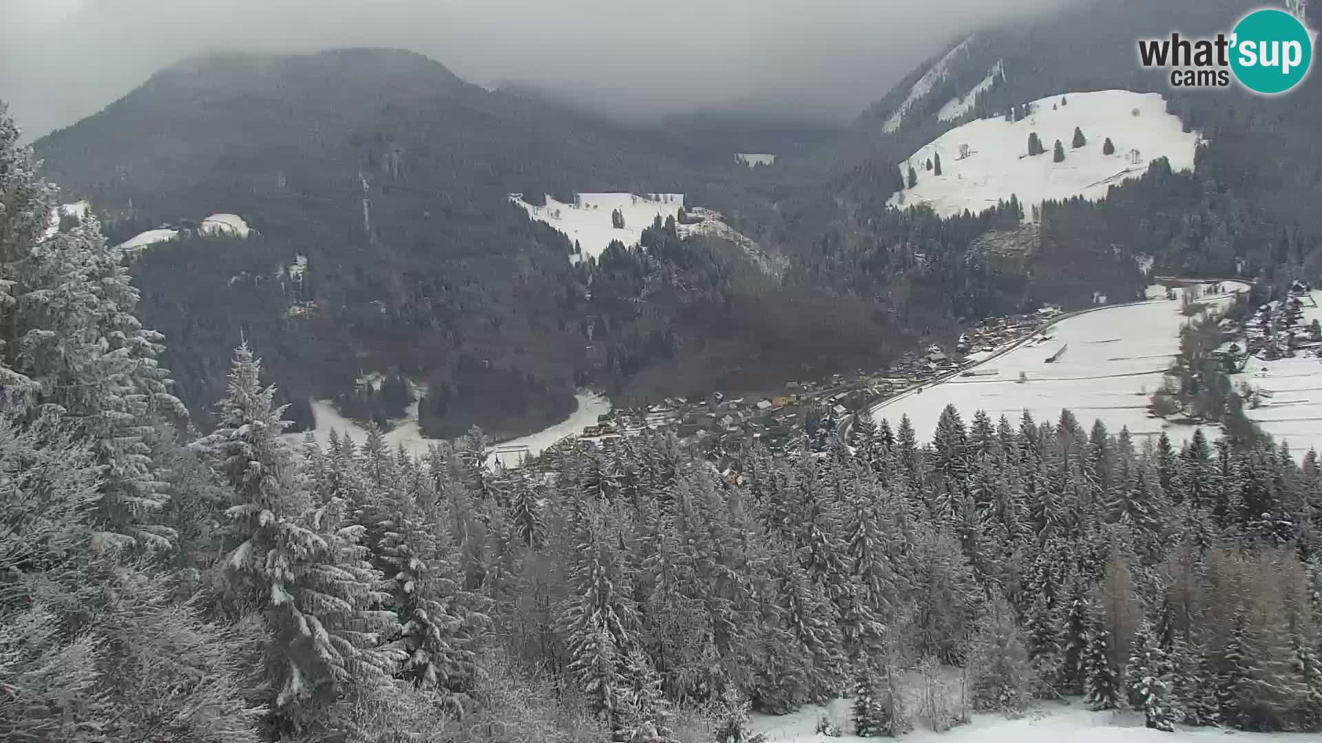 Vitranc Kranjska Gora webcam | VITRANC 1 stazione superiore