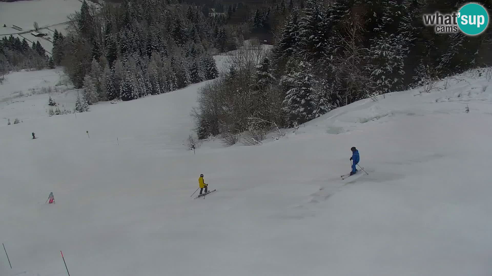 Kranjska Gora kamera VITRANC 1 | Zgornja postaja