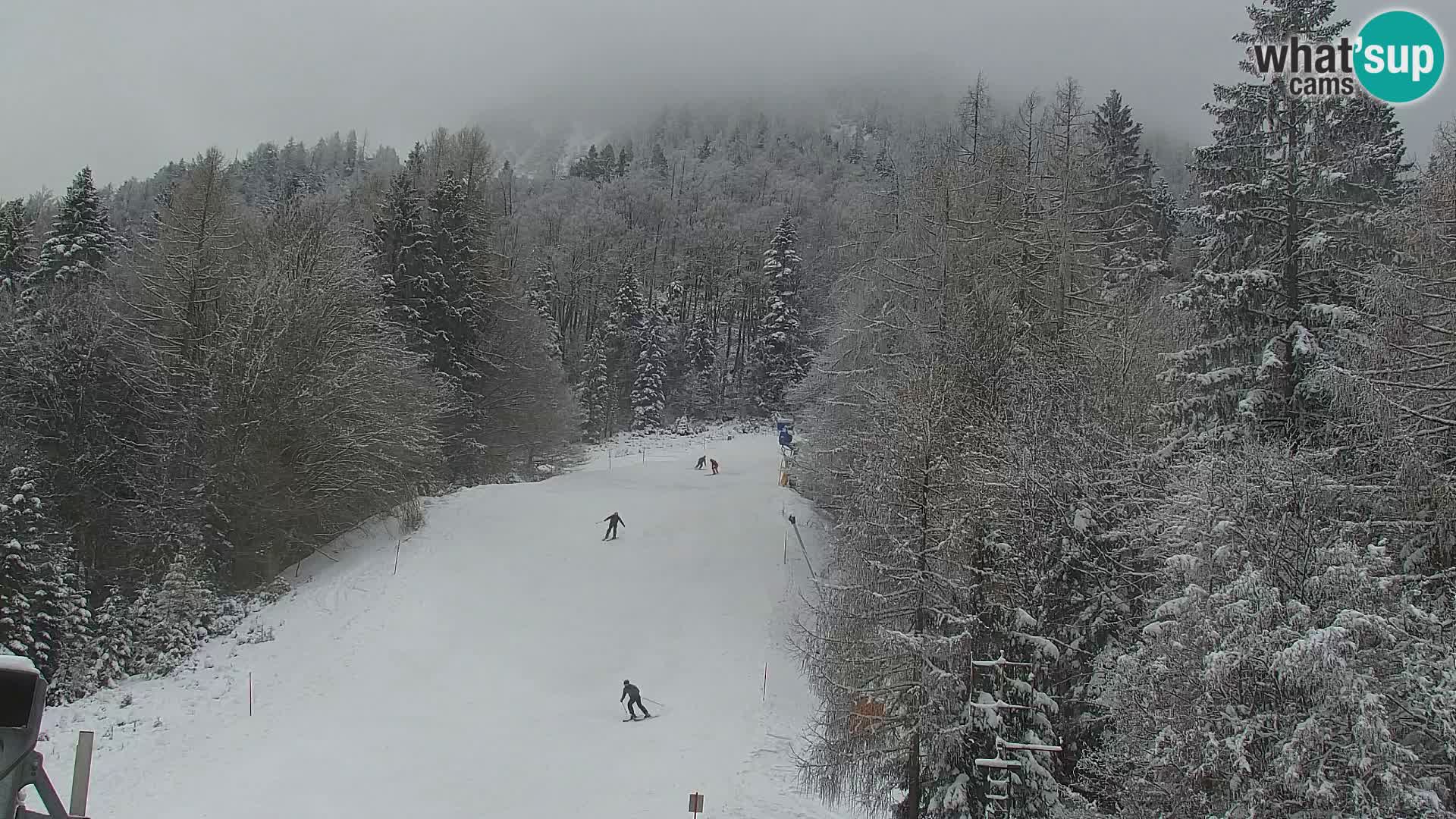 Kranjska Gora kamera VITRANC 1 | Zgornja postaja